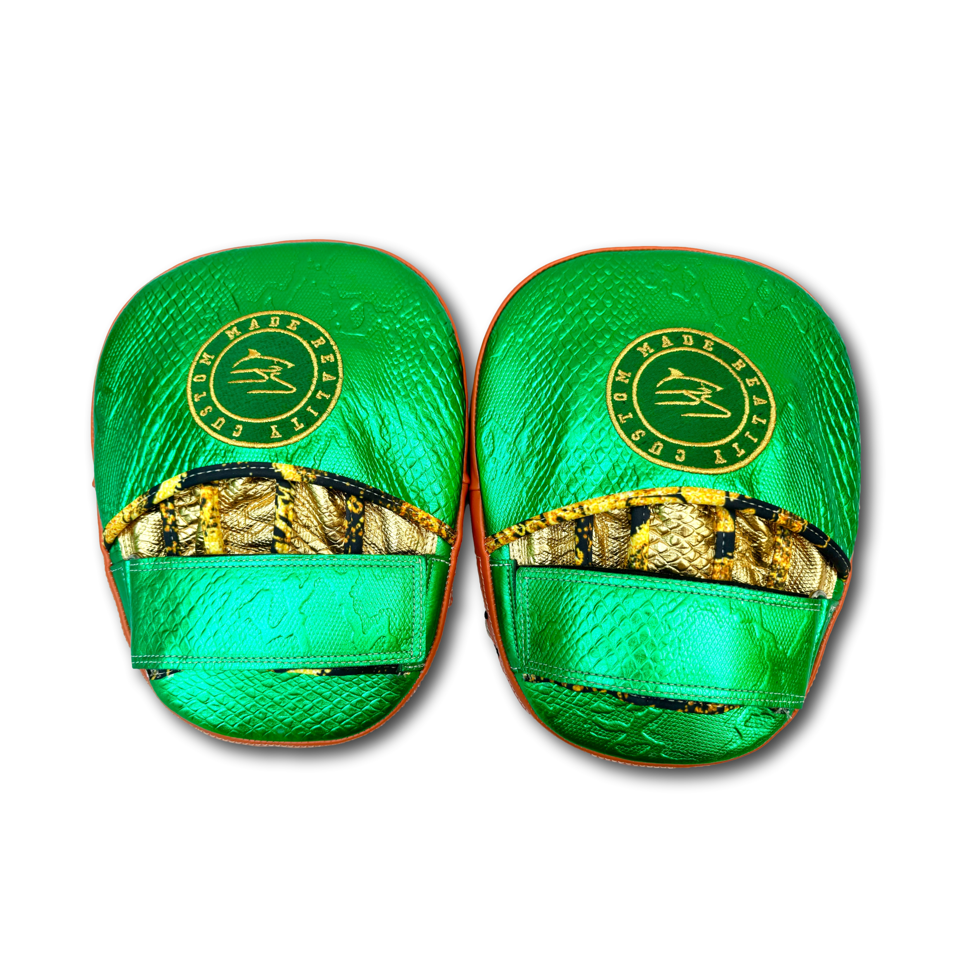 Focus Pad Benedict 162682 Pads