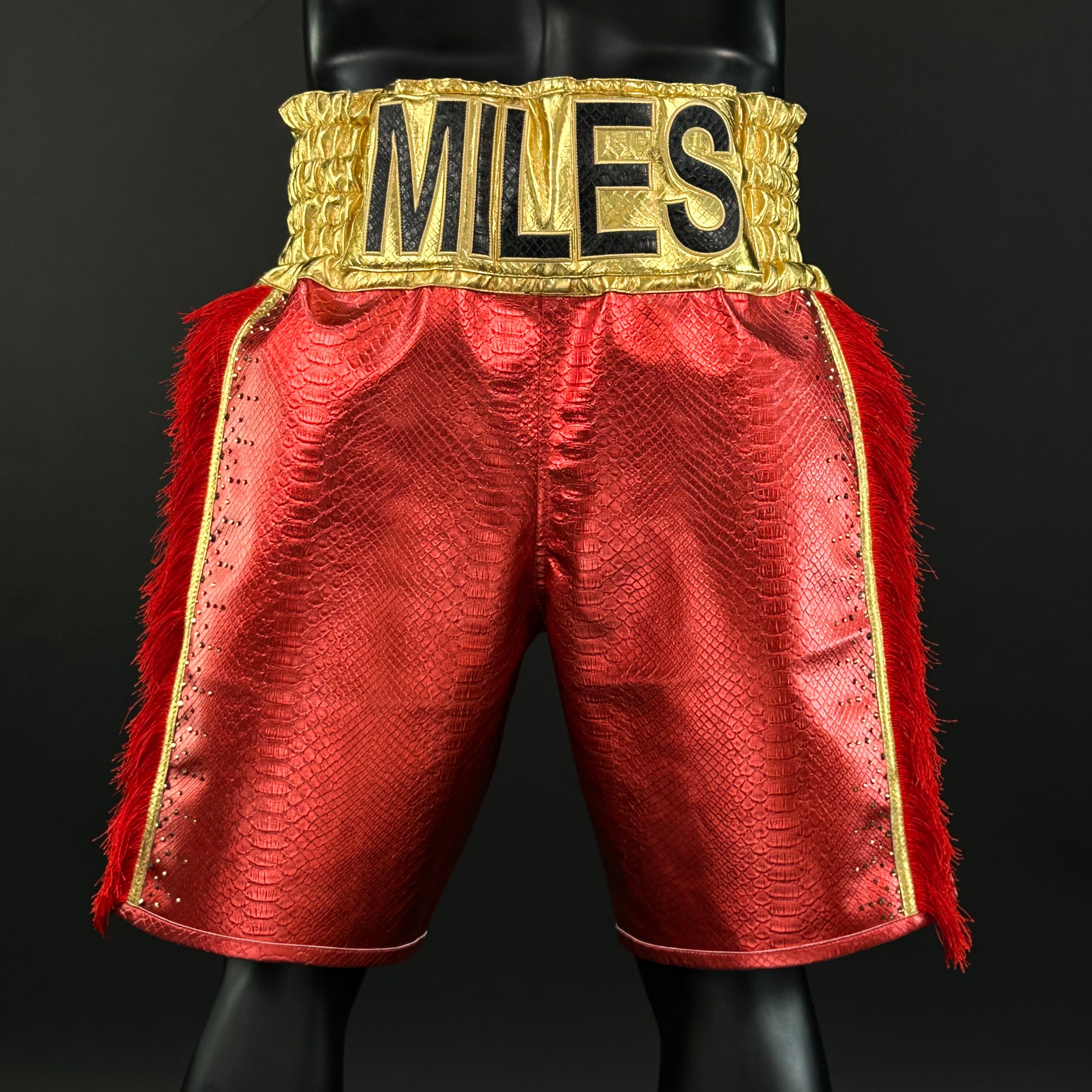 Side Stripe BX  Celestina 159732 Custom Boxing Shorts & Trunks