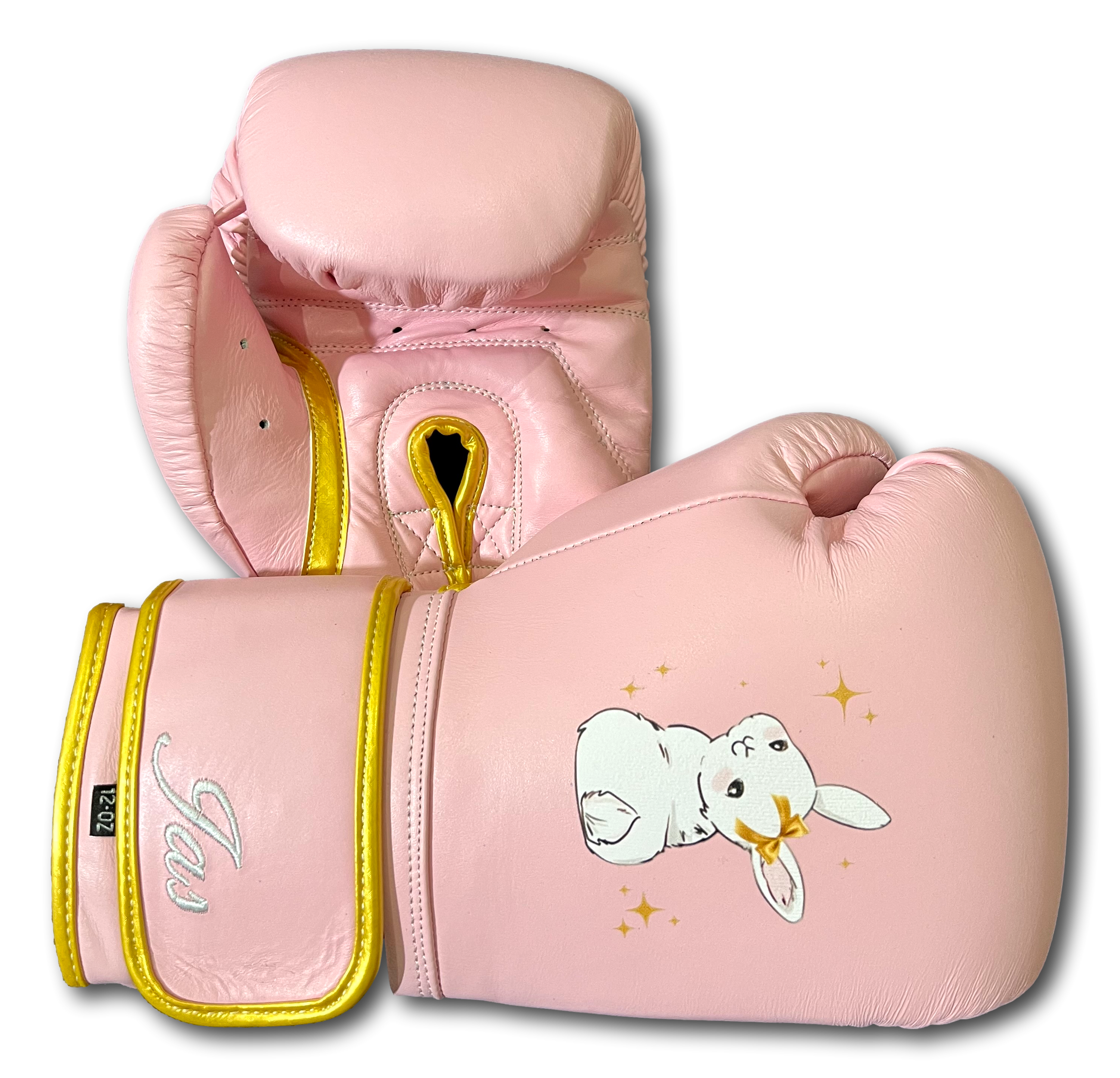 Gloves Classics Jahan 148329 Boxing Gloves