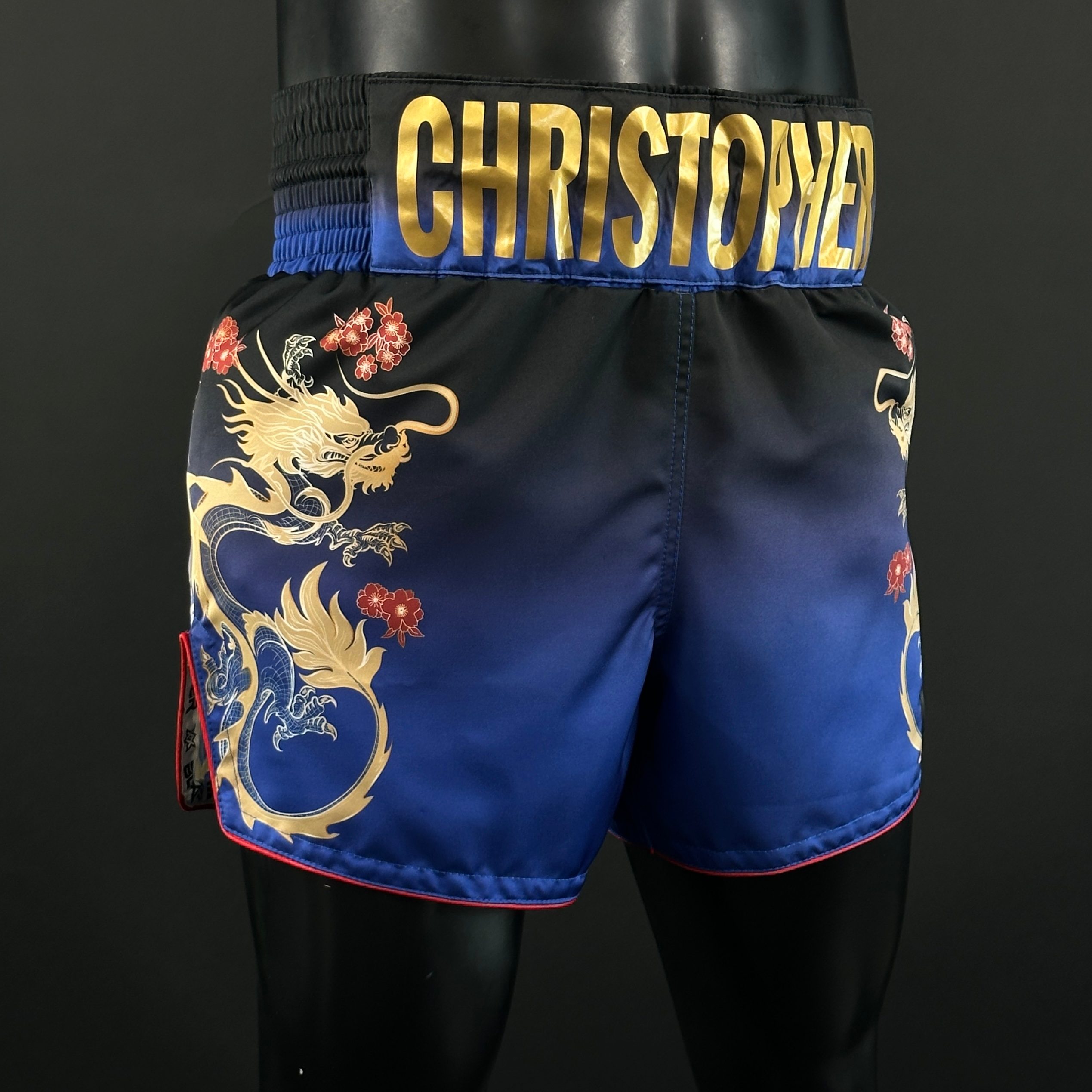 DRAGON MTS Niki 163382 Muay Thai Shorts