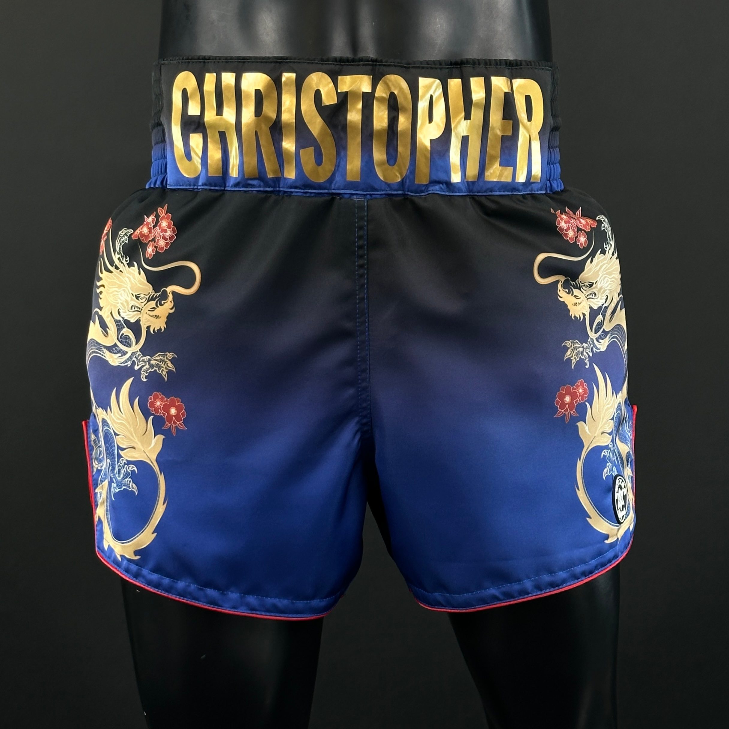 DRAGON MTS Niki 163382 Muay Thai Shorts
