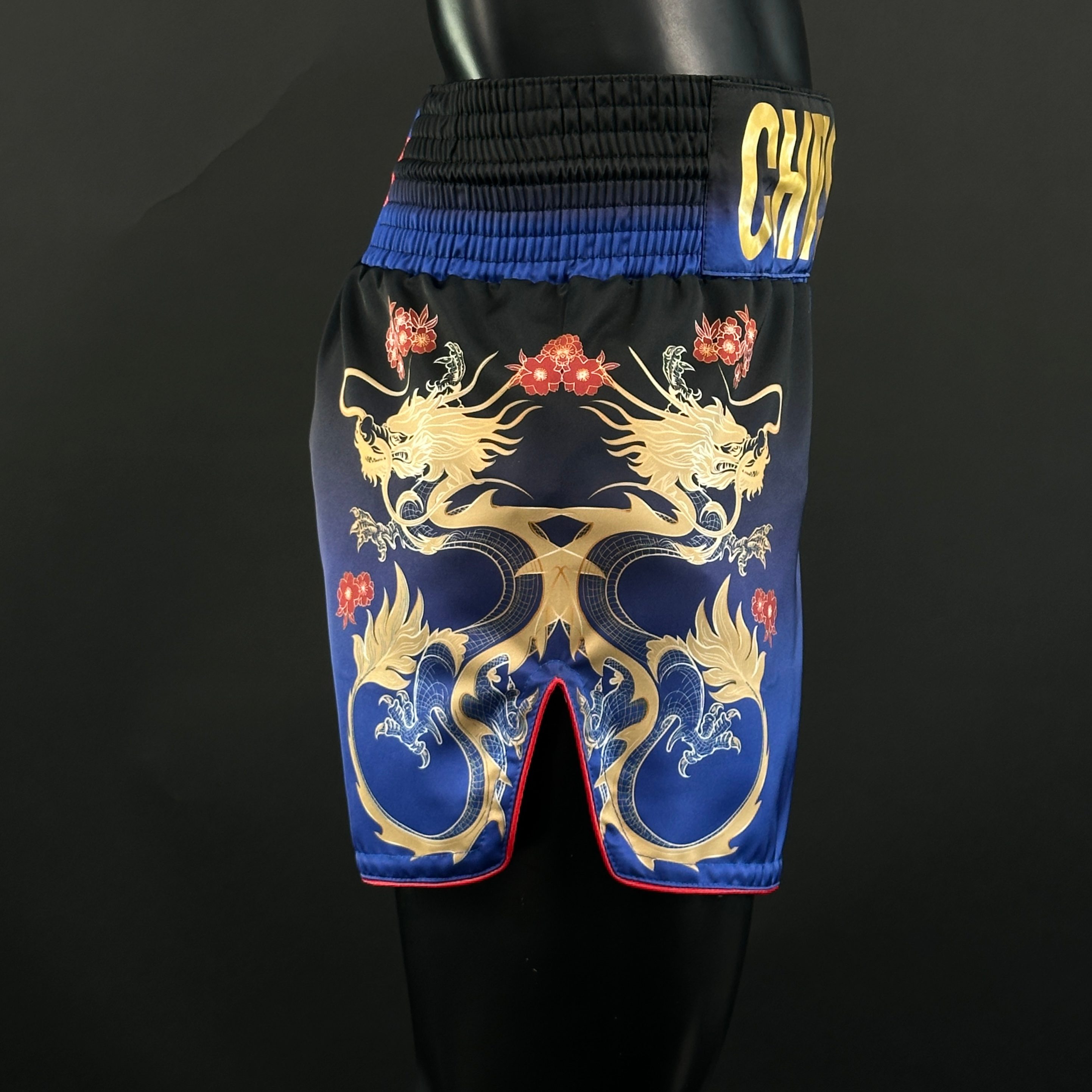 DRAGON MTS Niki 163382 Muay Thai Shorts