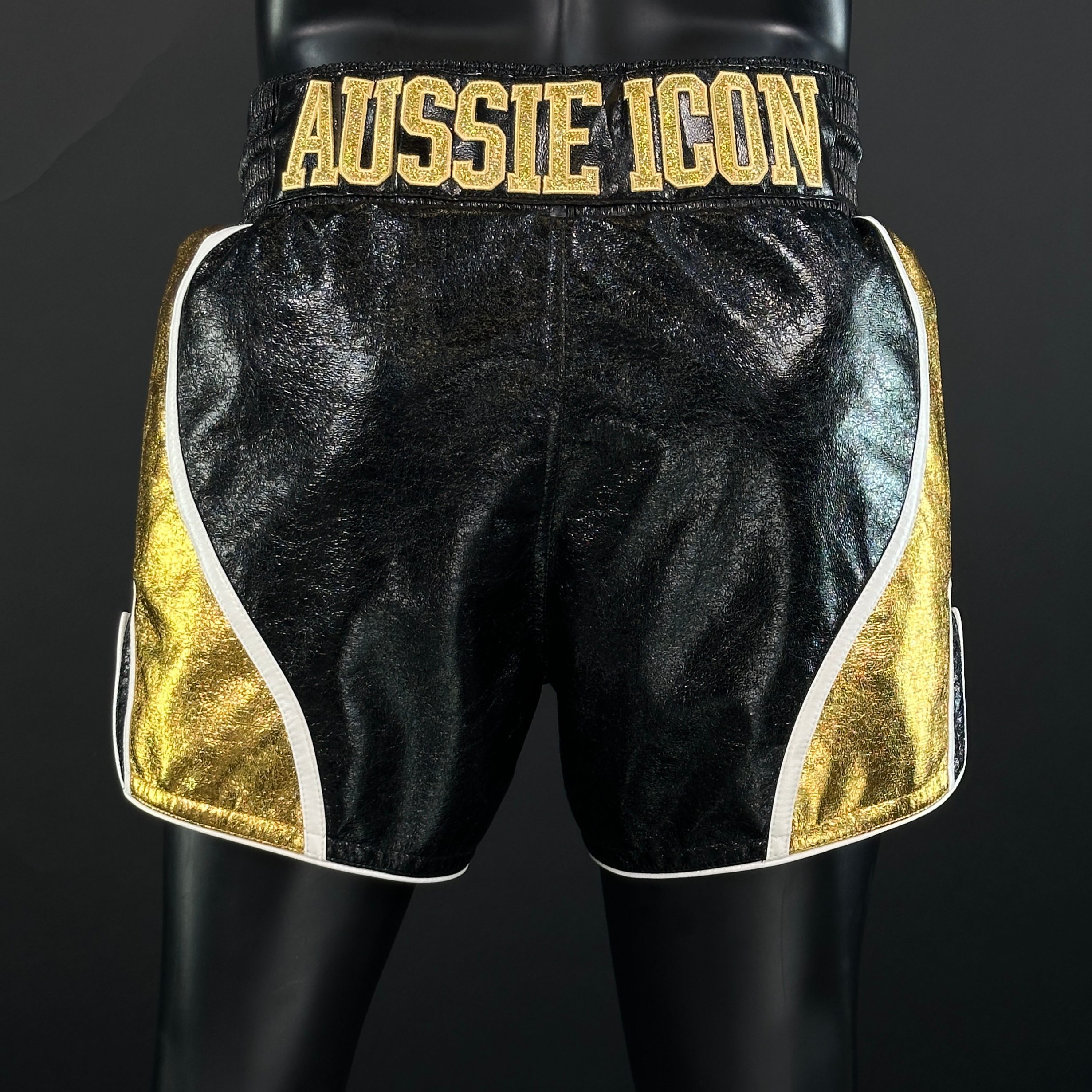 DREAM MTS Matt 165159 Muay Thai Shorts