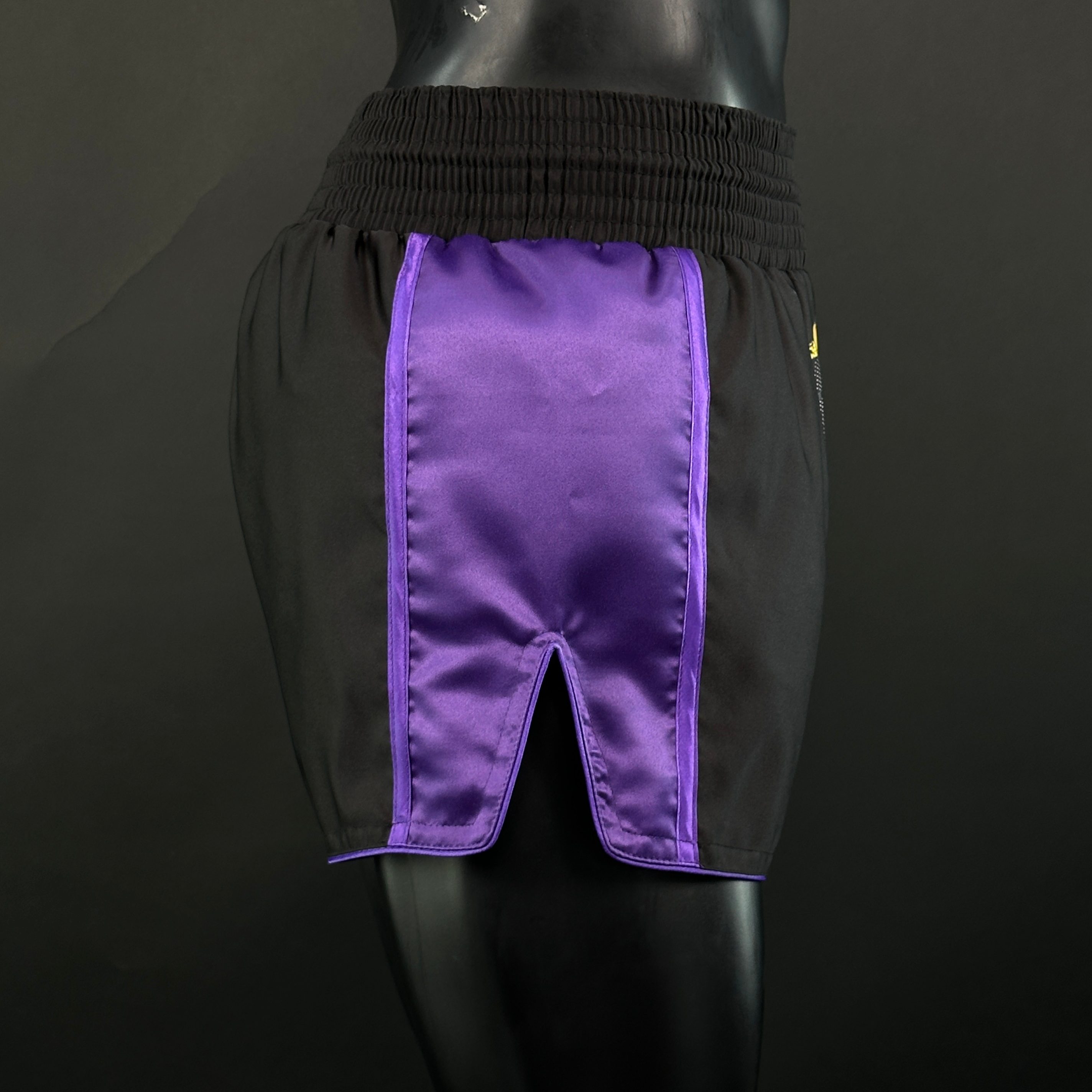 Side Stripe MTS Mitch 163268 Muay Thai Shorts