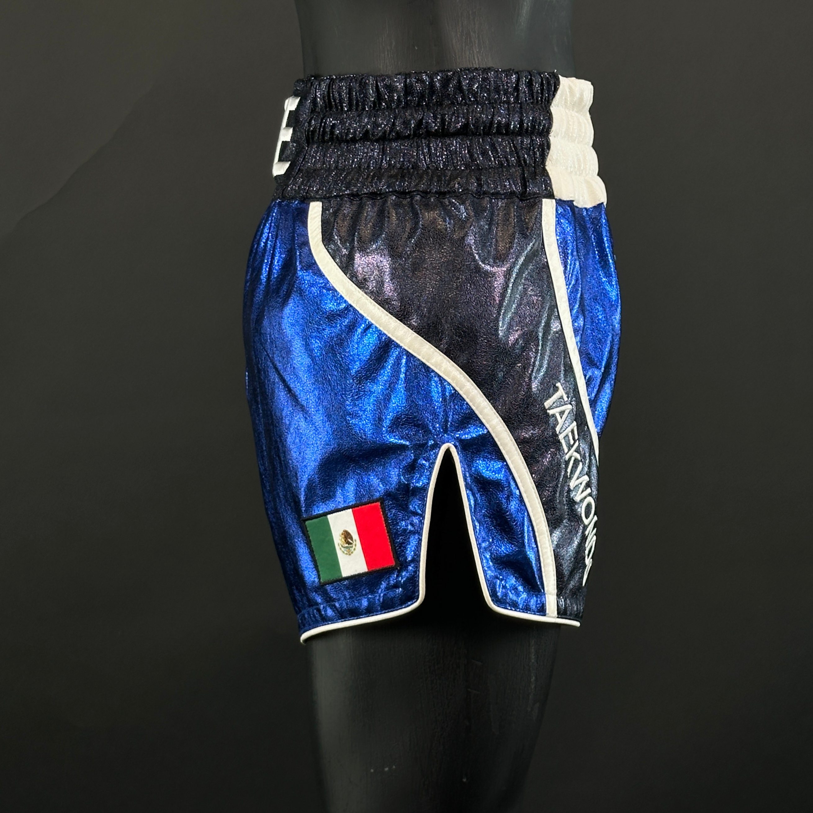 Flow MTS Rene 163876 Muay Thai Shorts