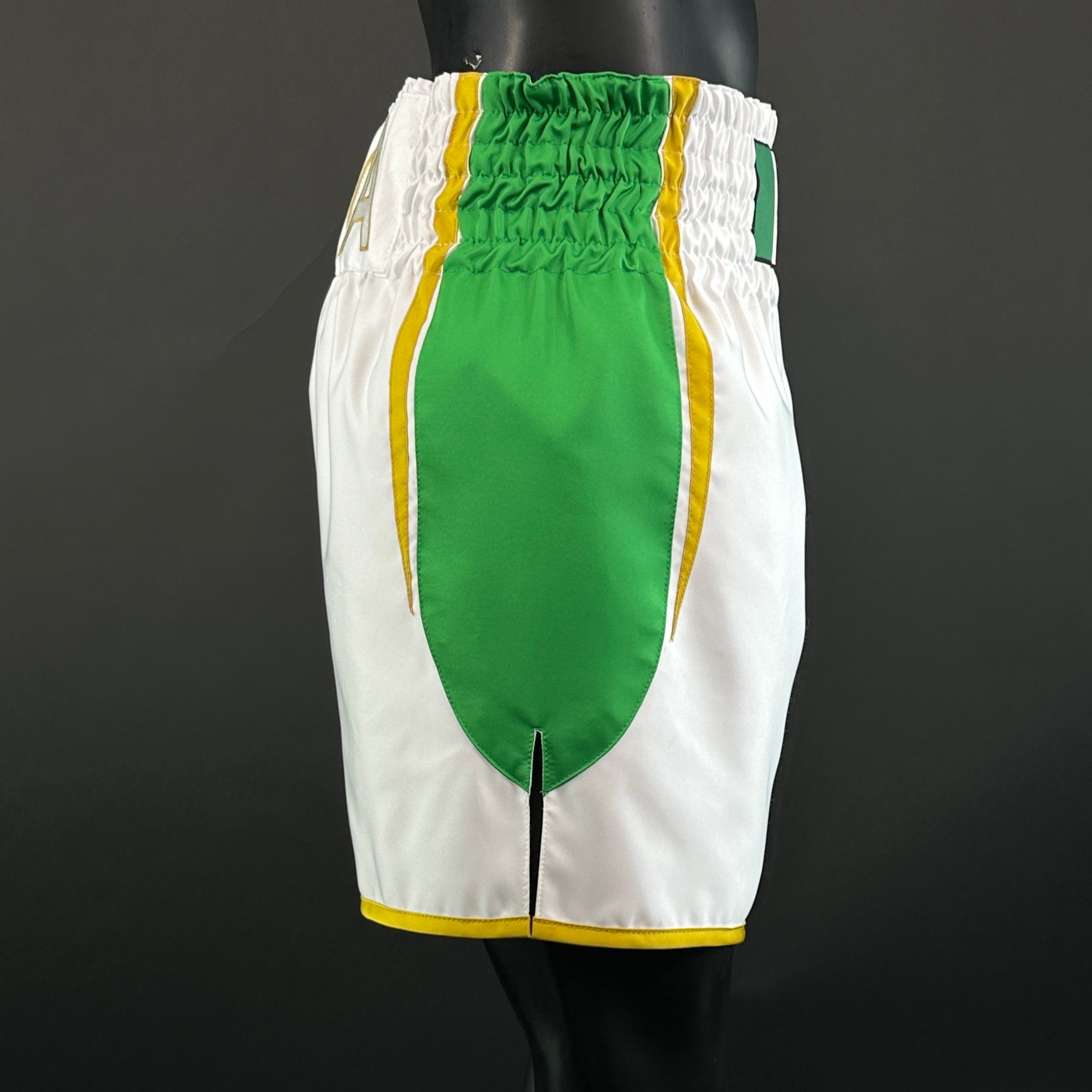 USYK TRIBUTE BX David 164048 Custom Boxing Shorts & Trunks