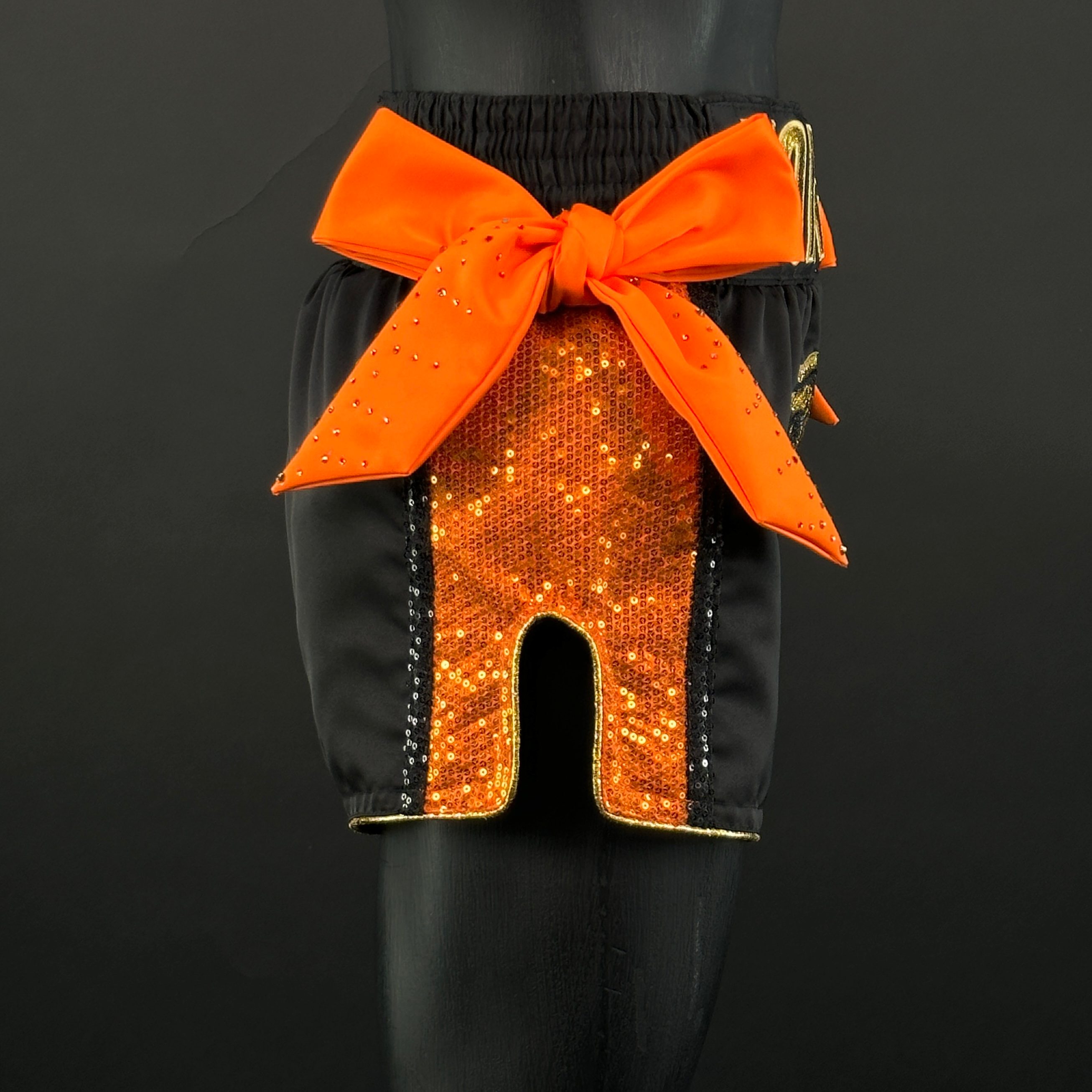 Side Stripe MTS Leigh 163749 Muay Thai Shorts