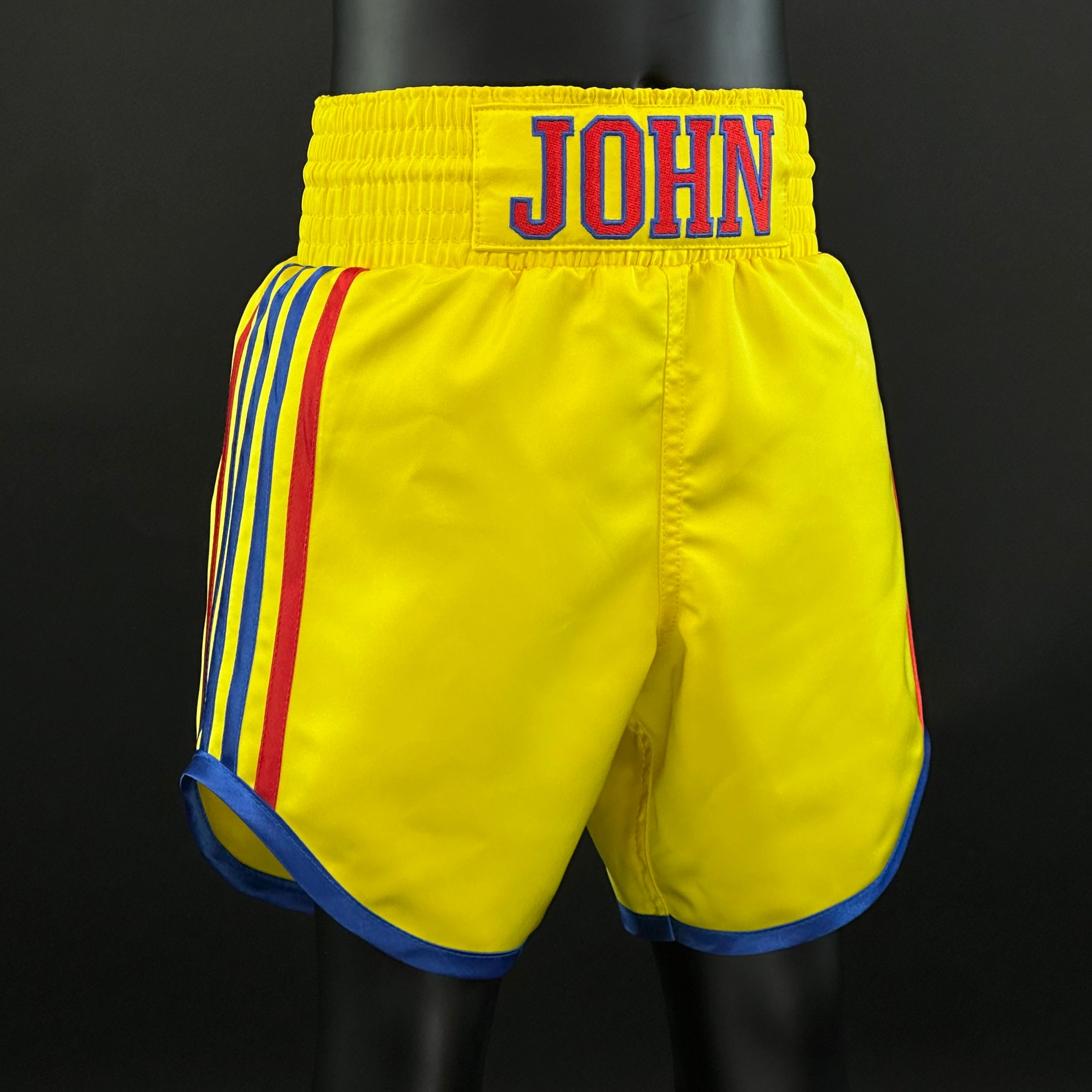 PIN STRIPE BX Jason 165459 Custom Boxing Shorts & Trunks