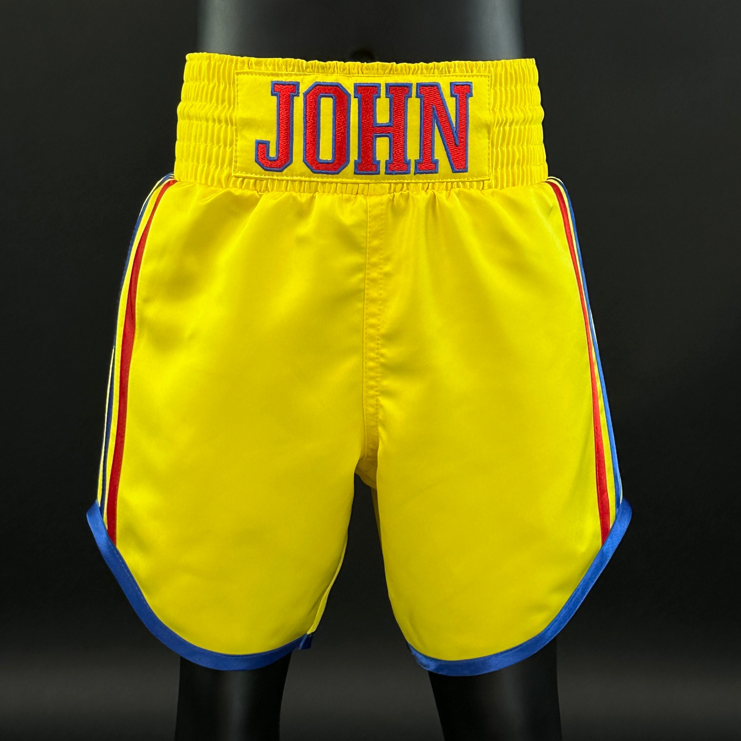PIN STRIPE BX Jason 165459 Custom Boxing Shorts & Trunks