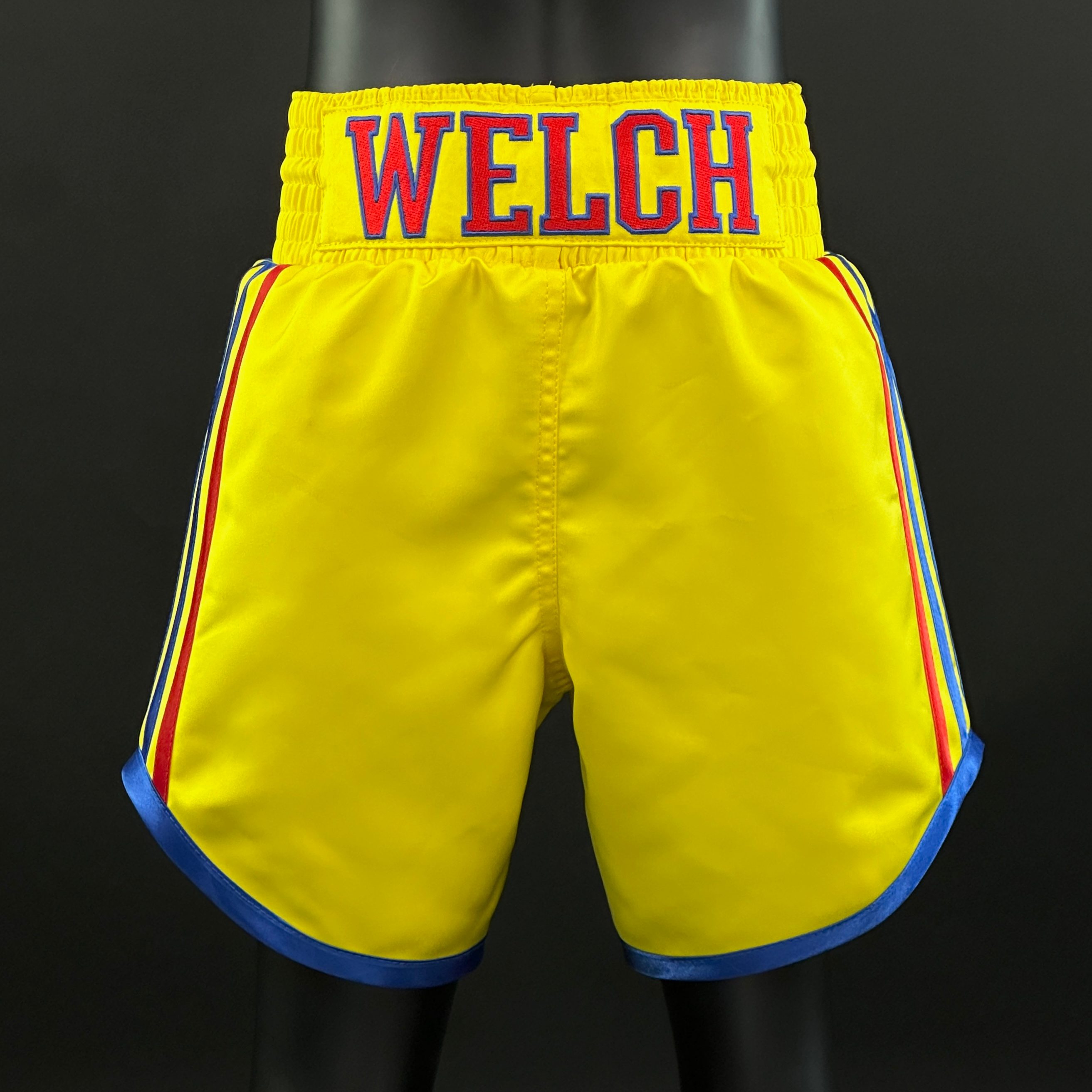 PIN STRIPE BX Jason 165459 Custom Boxing Shorts & Trunks