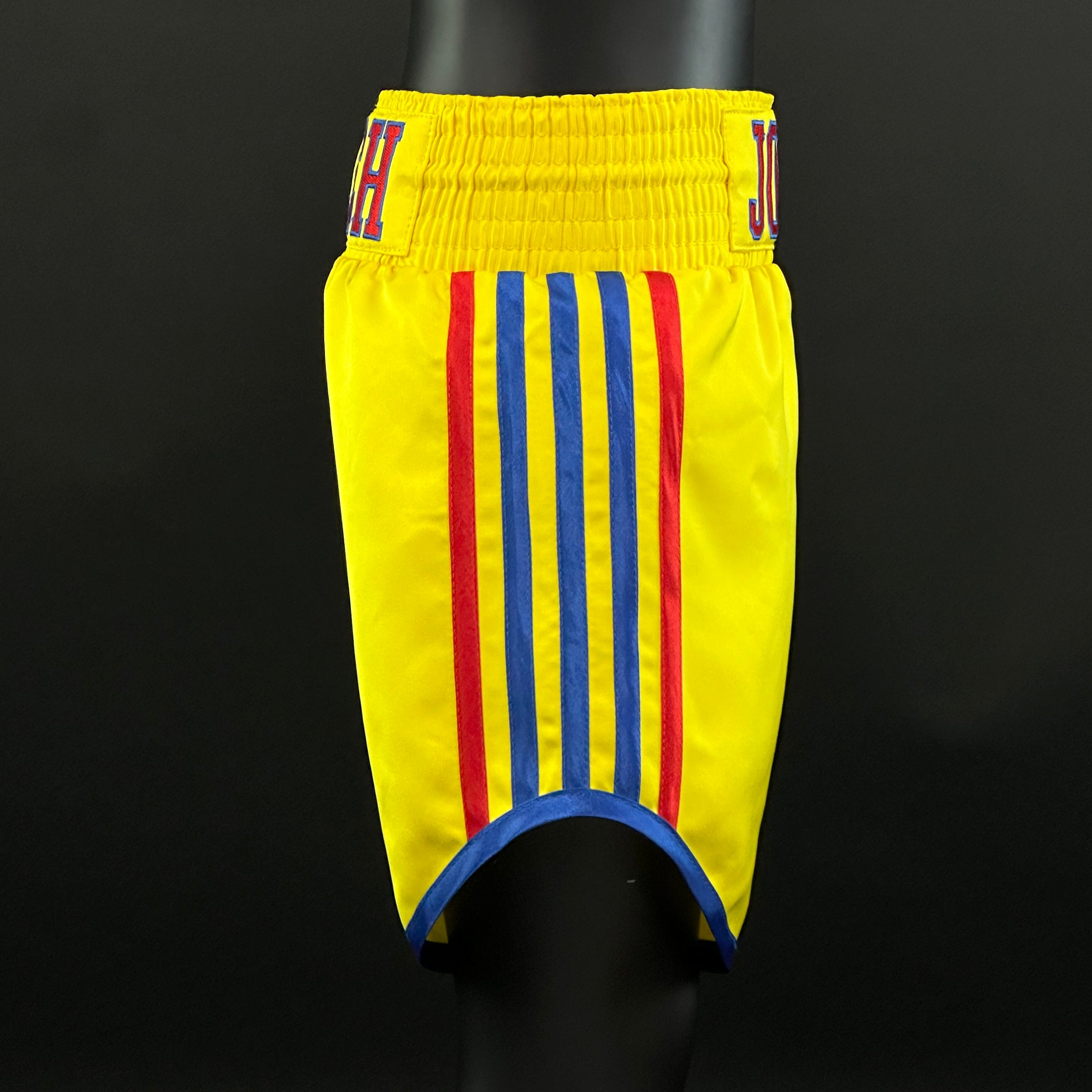 PIN STRIPE BX Jason 165459 Custom Boxing Shorts & Trunks