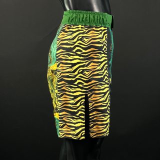 Sidestripe MMA Mateo 164831 MMA Shorts