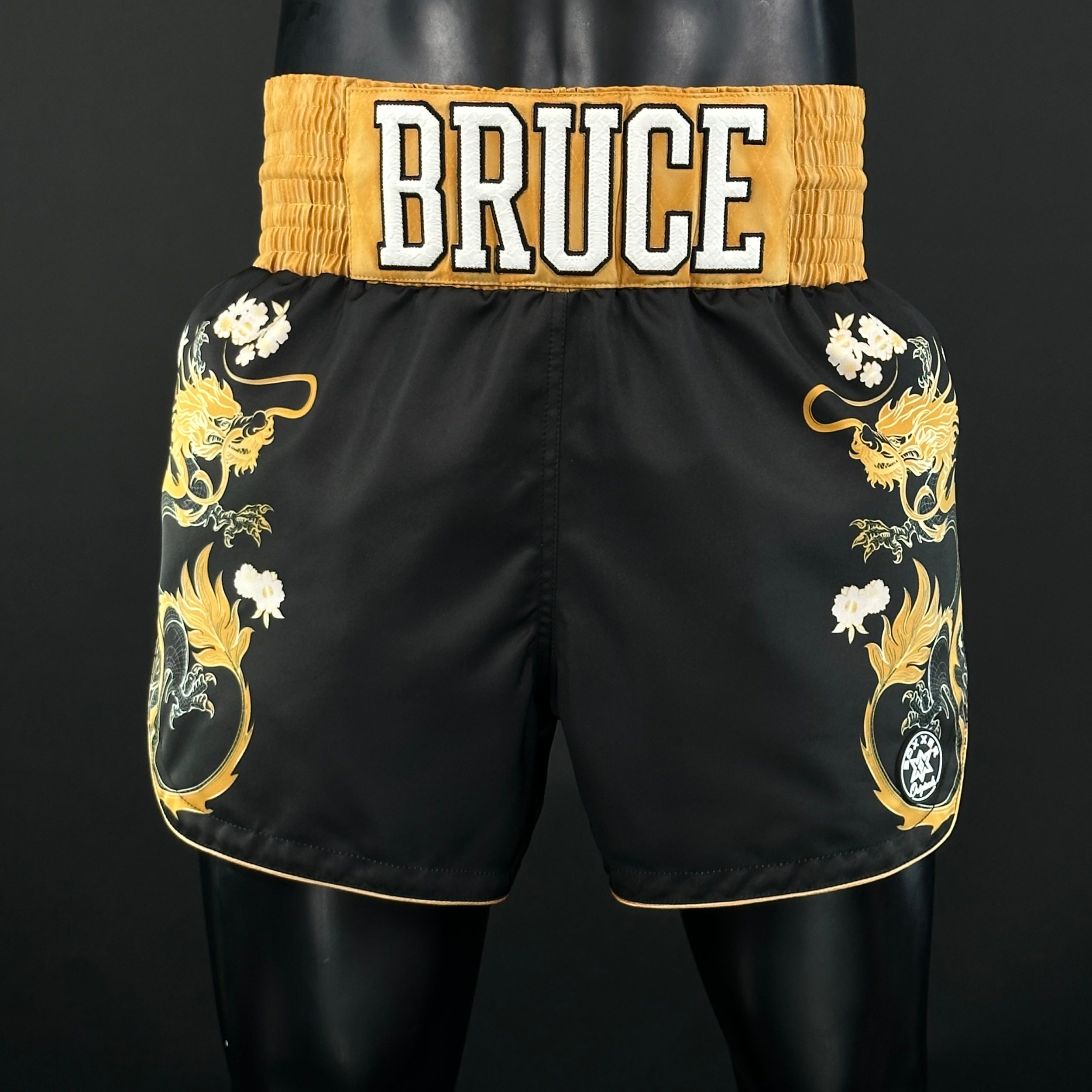 DRAGON MTS Paris 165124 Muay Thai Shorts