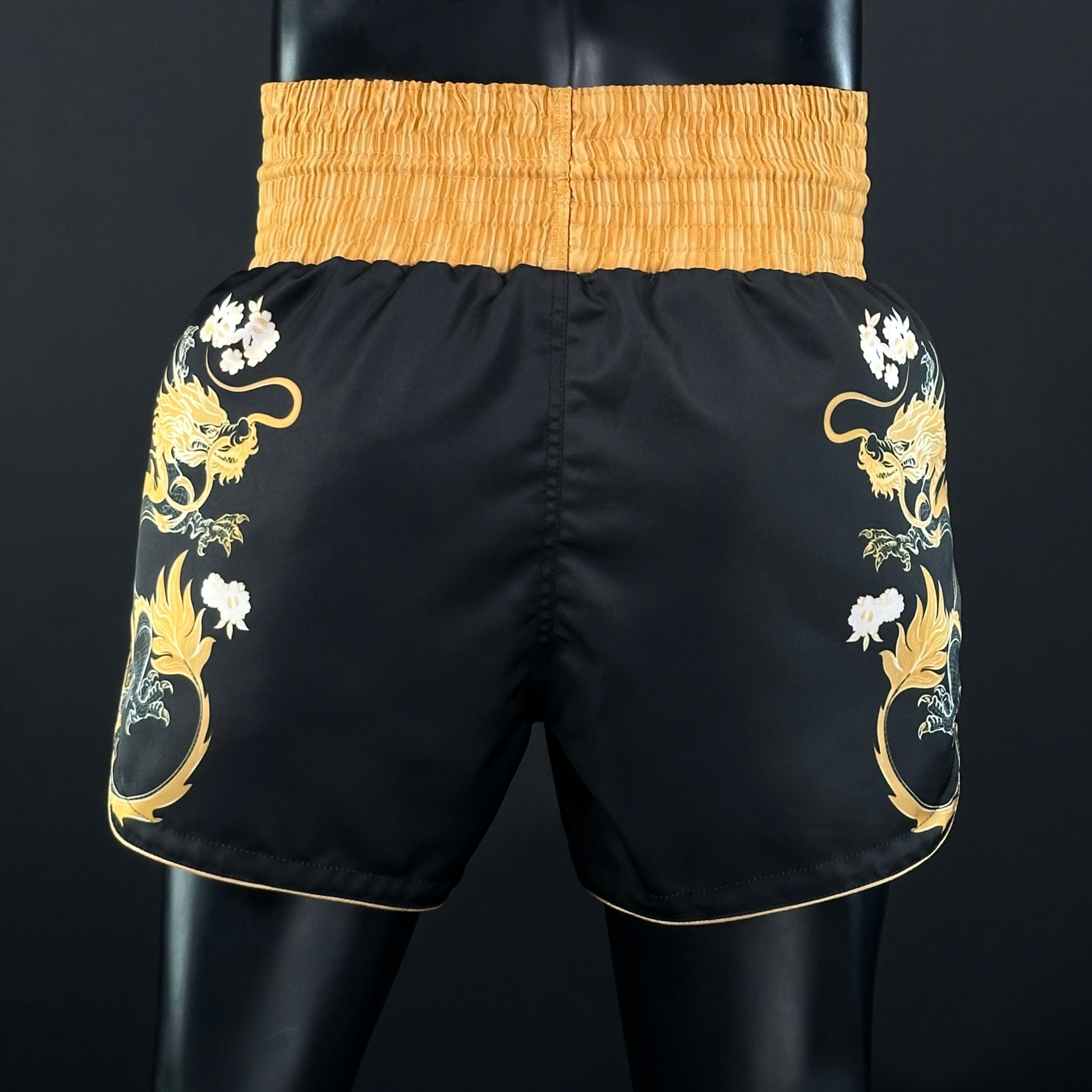 DRAGON MTS Paris 165124 Muay Thai Shorts