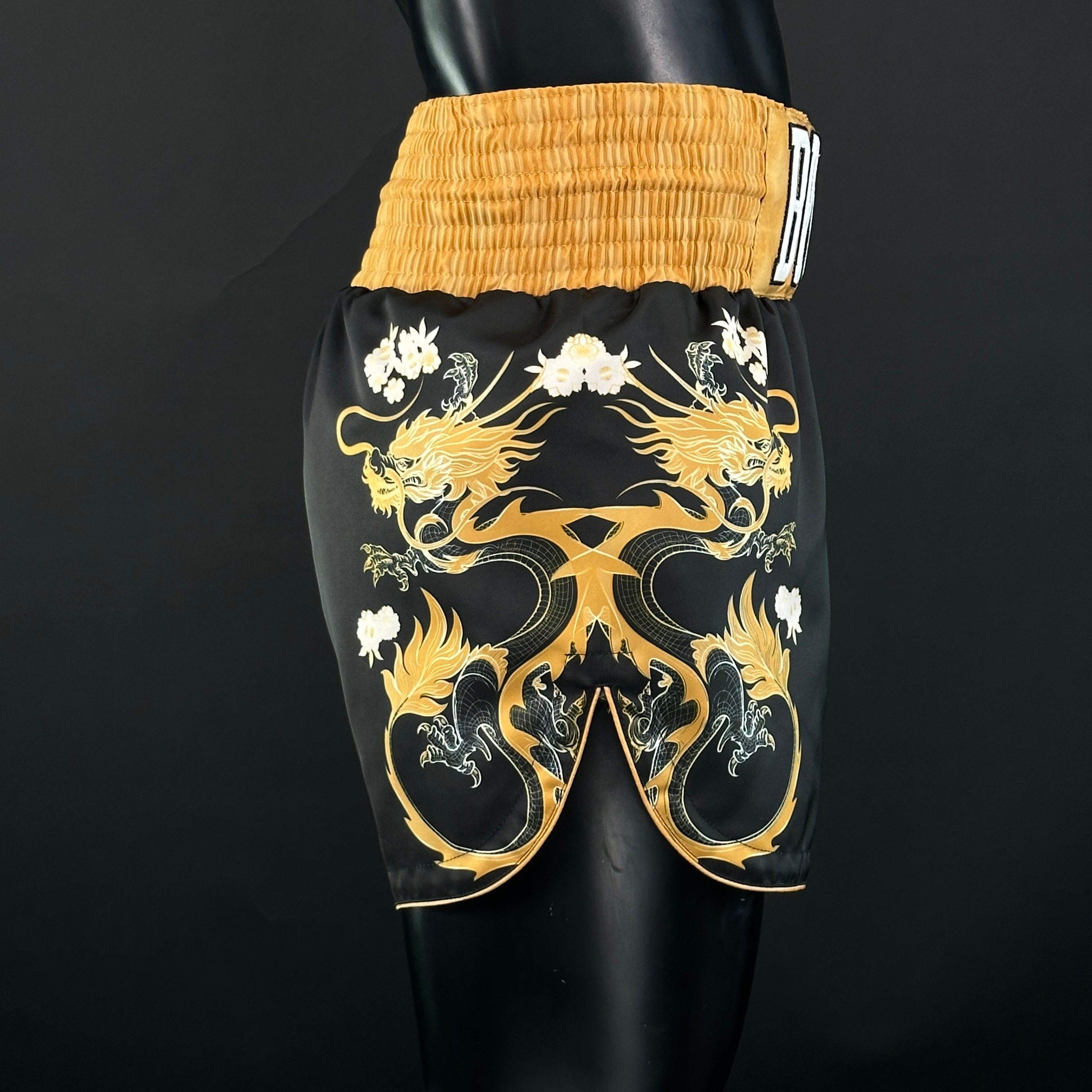 DRAGON MTS Paris 165124 Muay Thai Shorts