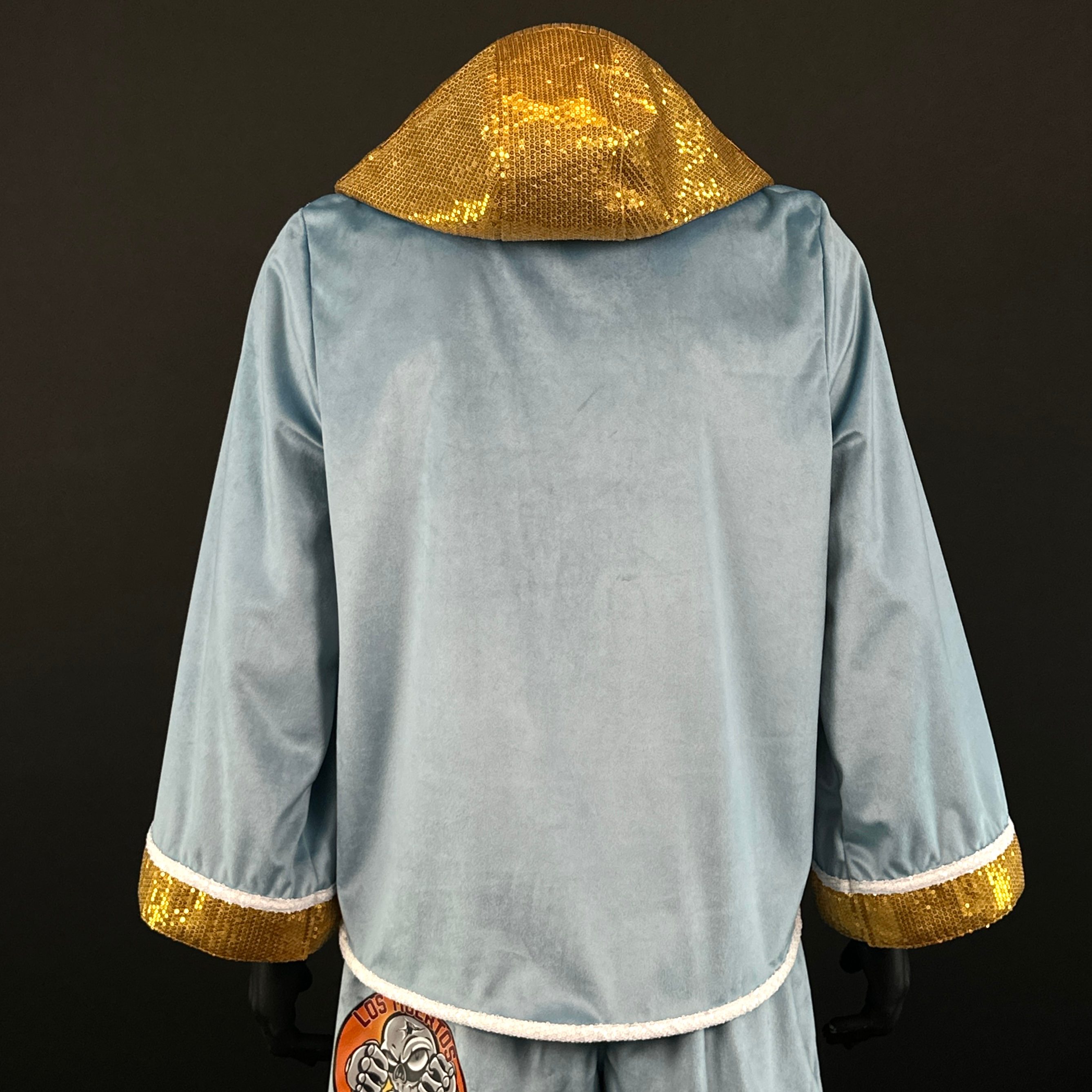 CLASSIC SLEEVES JKT Gregory 166101 Jackets