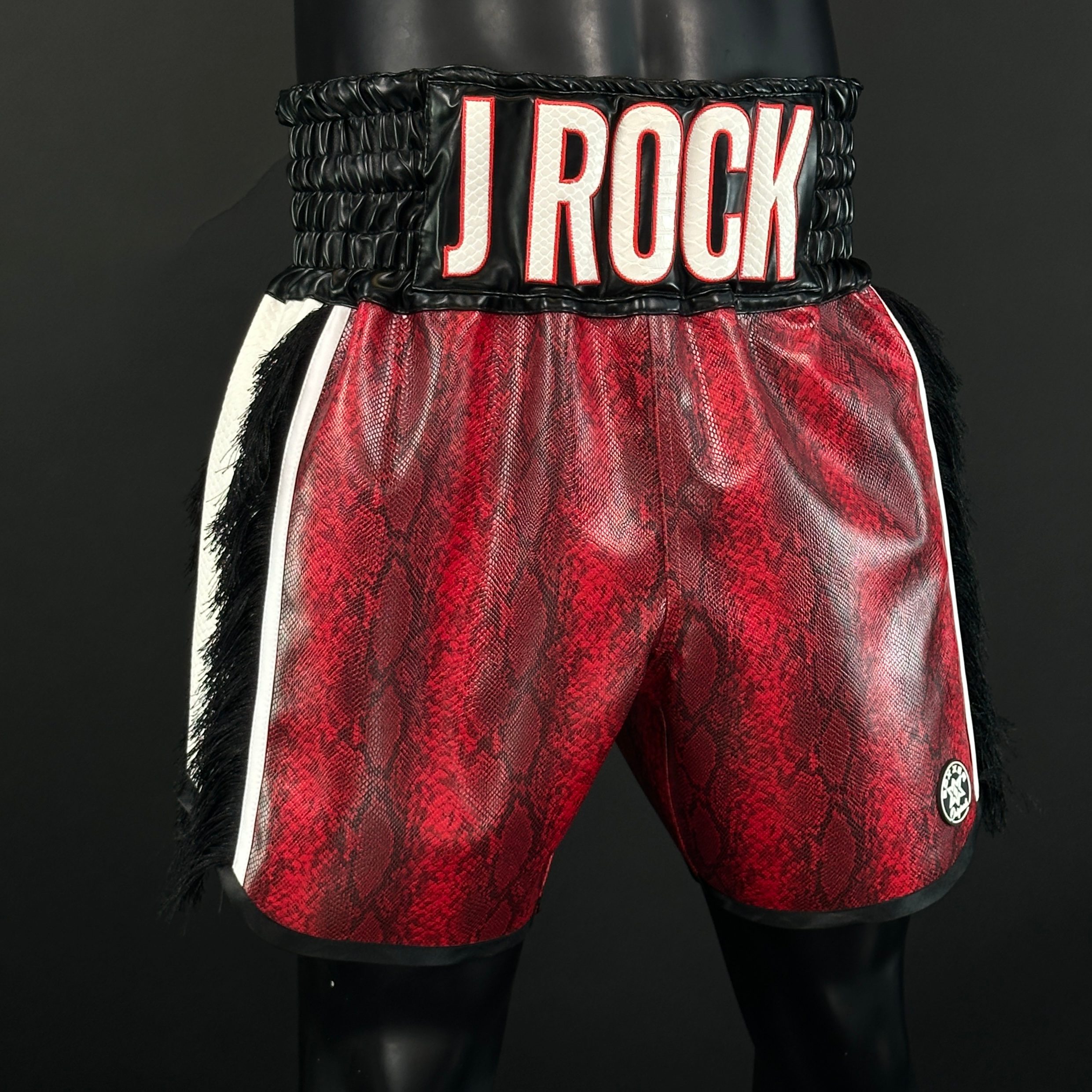 Side Stripe BX  Jason 166586 Custom Boxing Shorts & Trunks