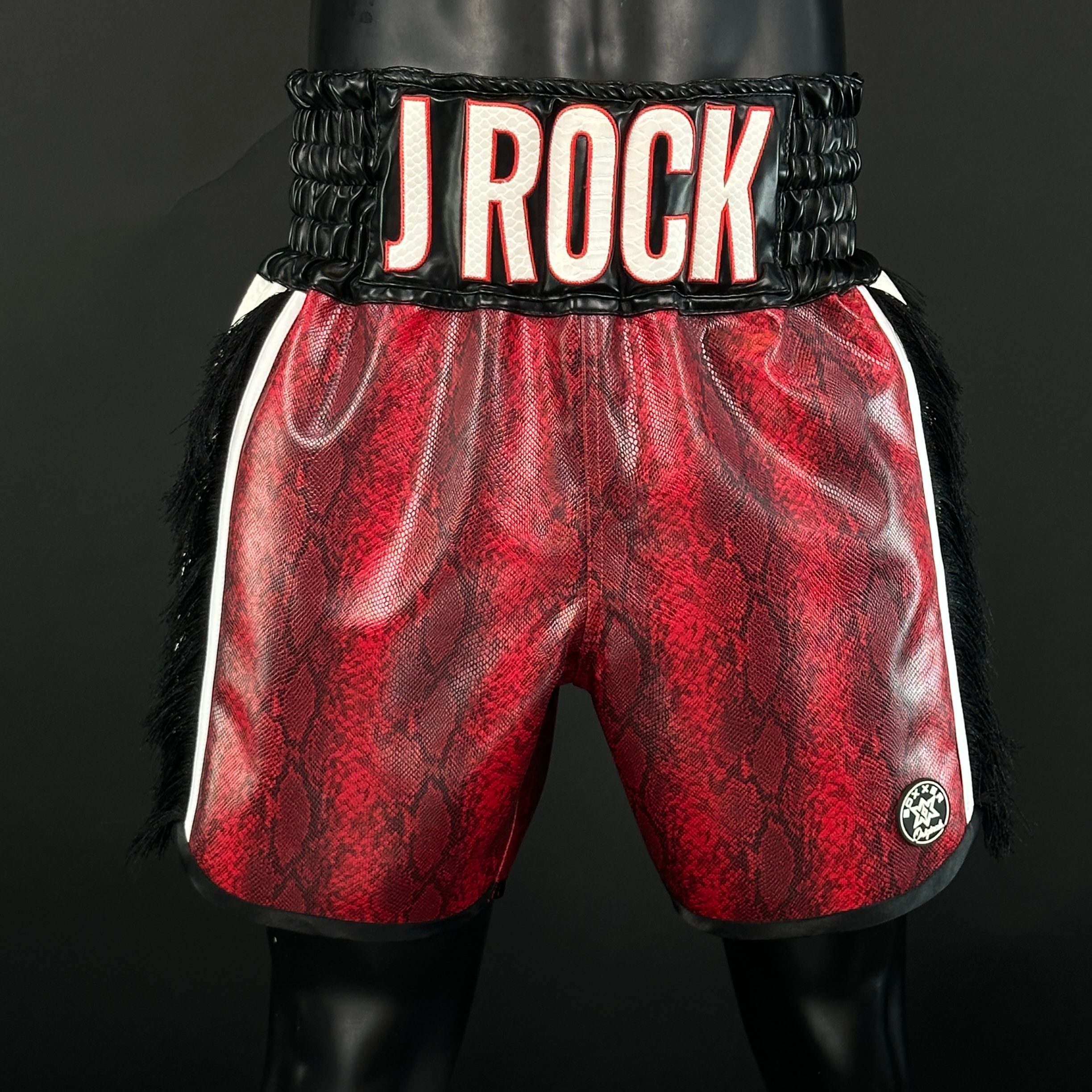 Side Stripe BX  Jason 166586 Custom Boxing Shorts & Trunks