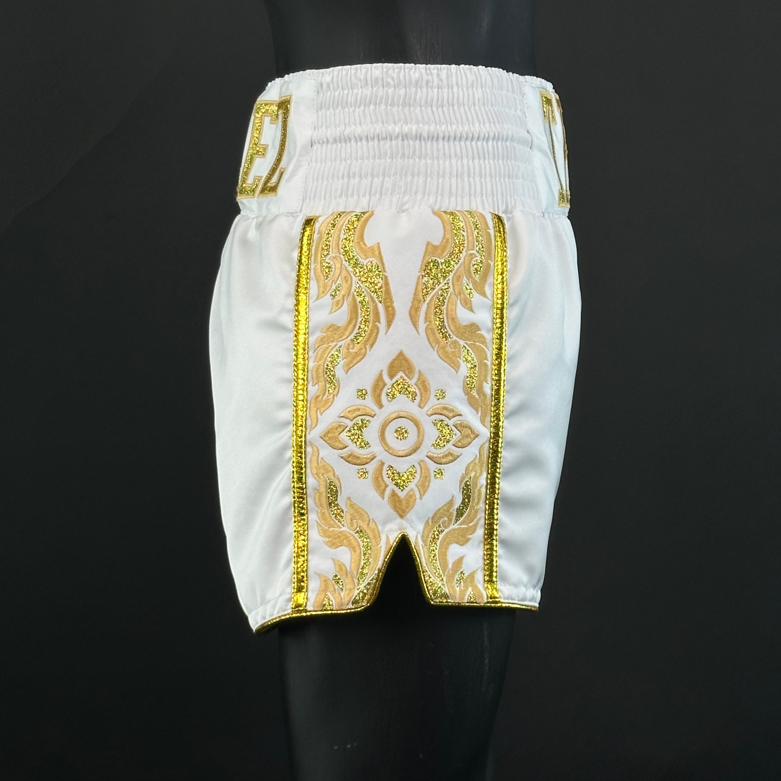One Champ MTS Damien 165144 Muay Thai Shorts