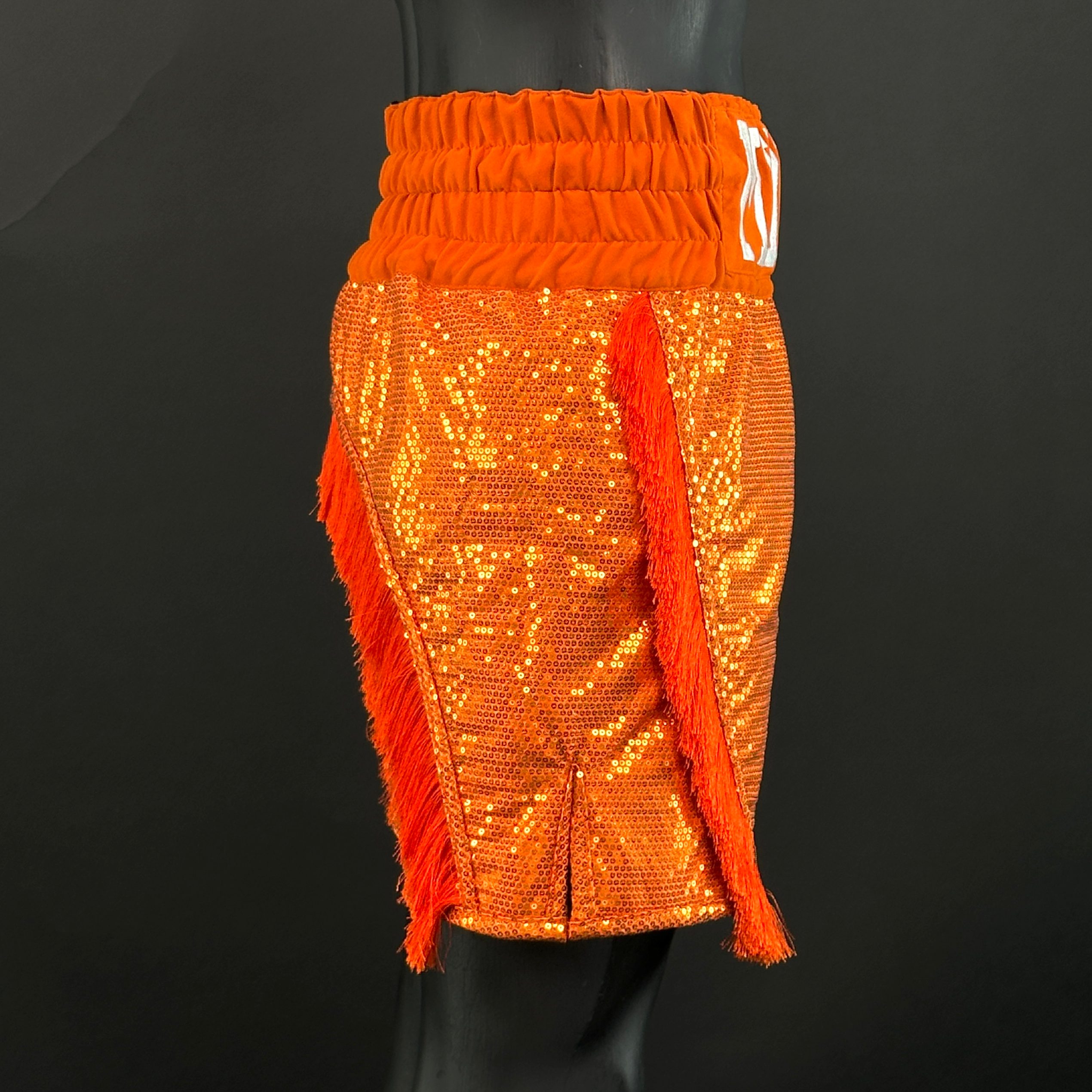 Floyd BX Jonathan 166535 Custom Boxing Shorts & Trunks