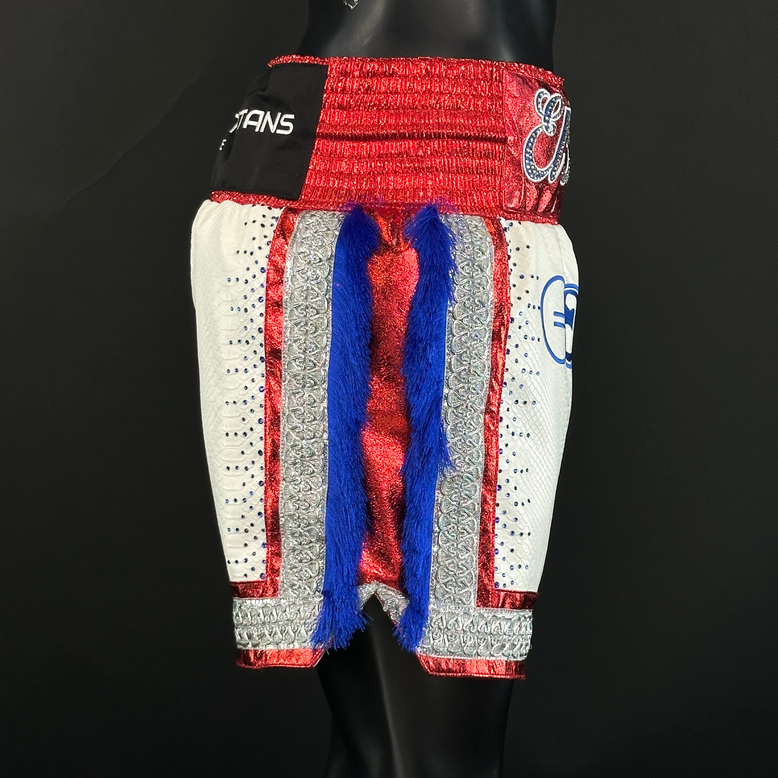 MEXICAN BX Alejandro 163417 Custom Boxing Shorts & Trunks