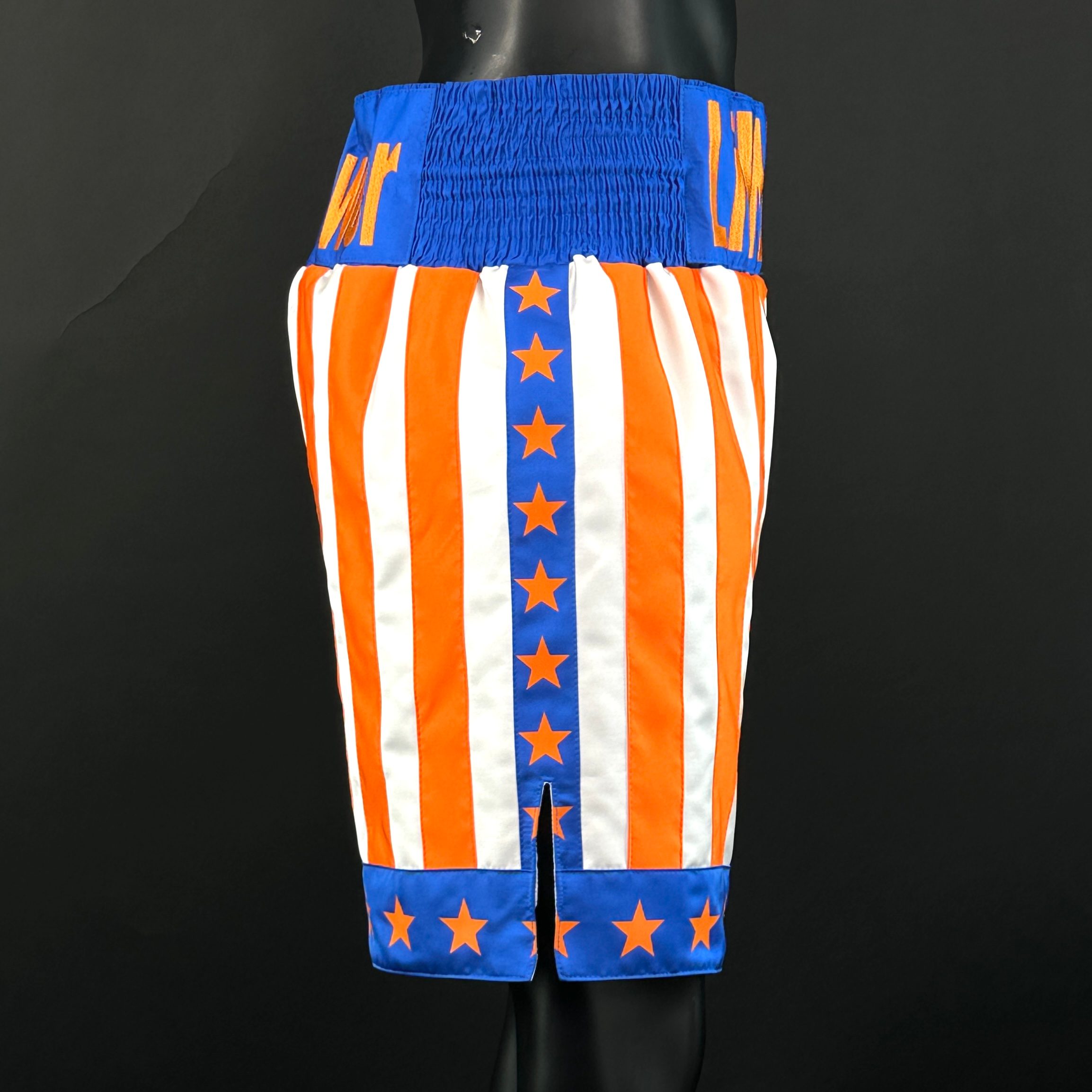 CREED BX (Boxxerworld Elite) Michael 167000 Custom Boxing Shorts & Trunks