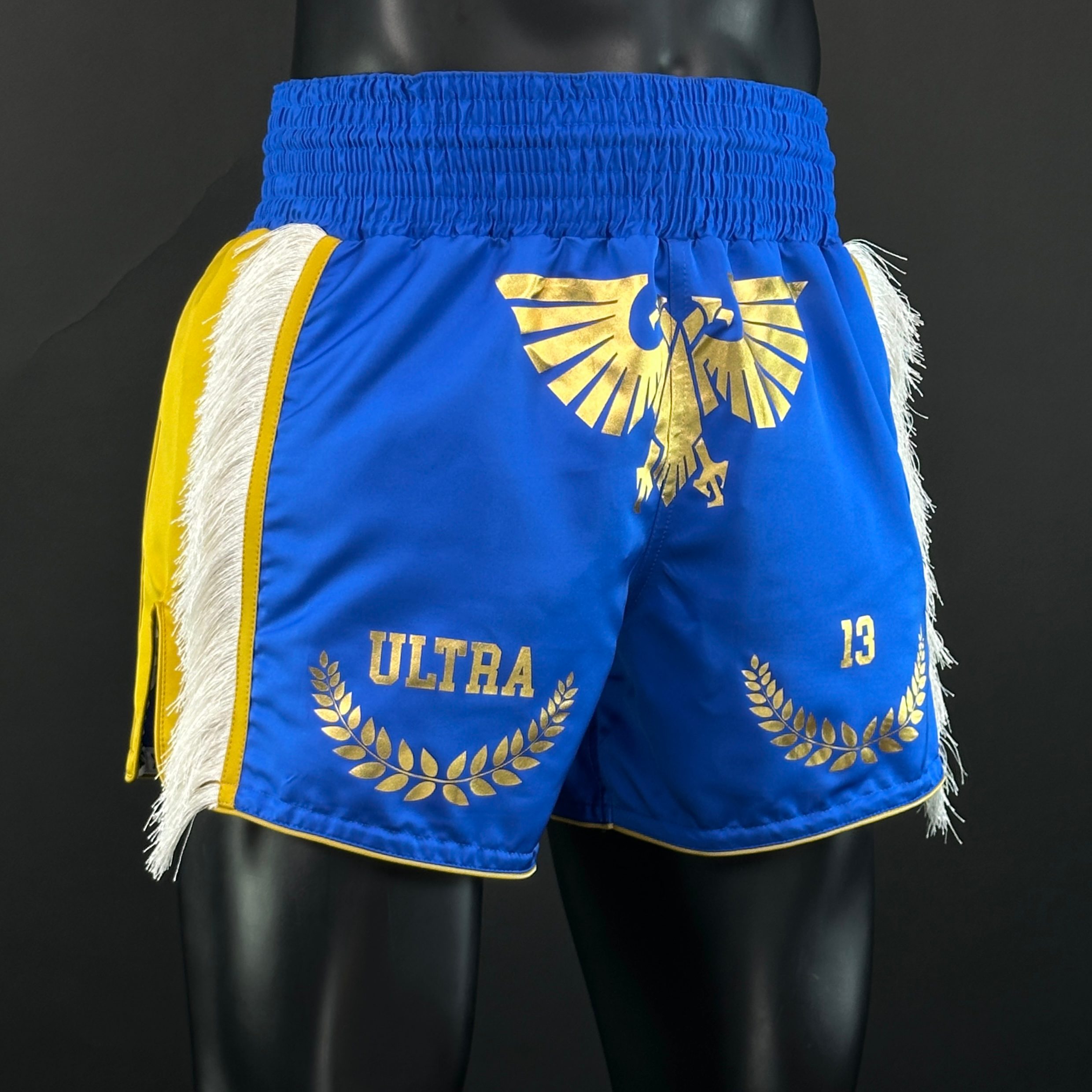 Side Stripe MTS Sam 165676 Muay Thai Shorts