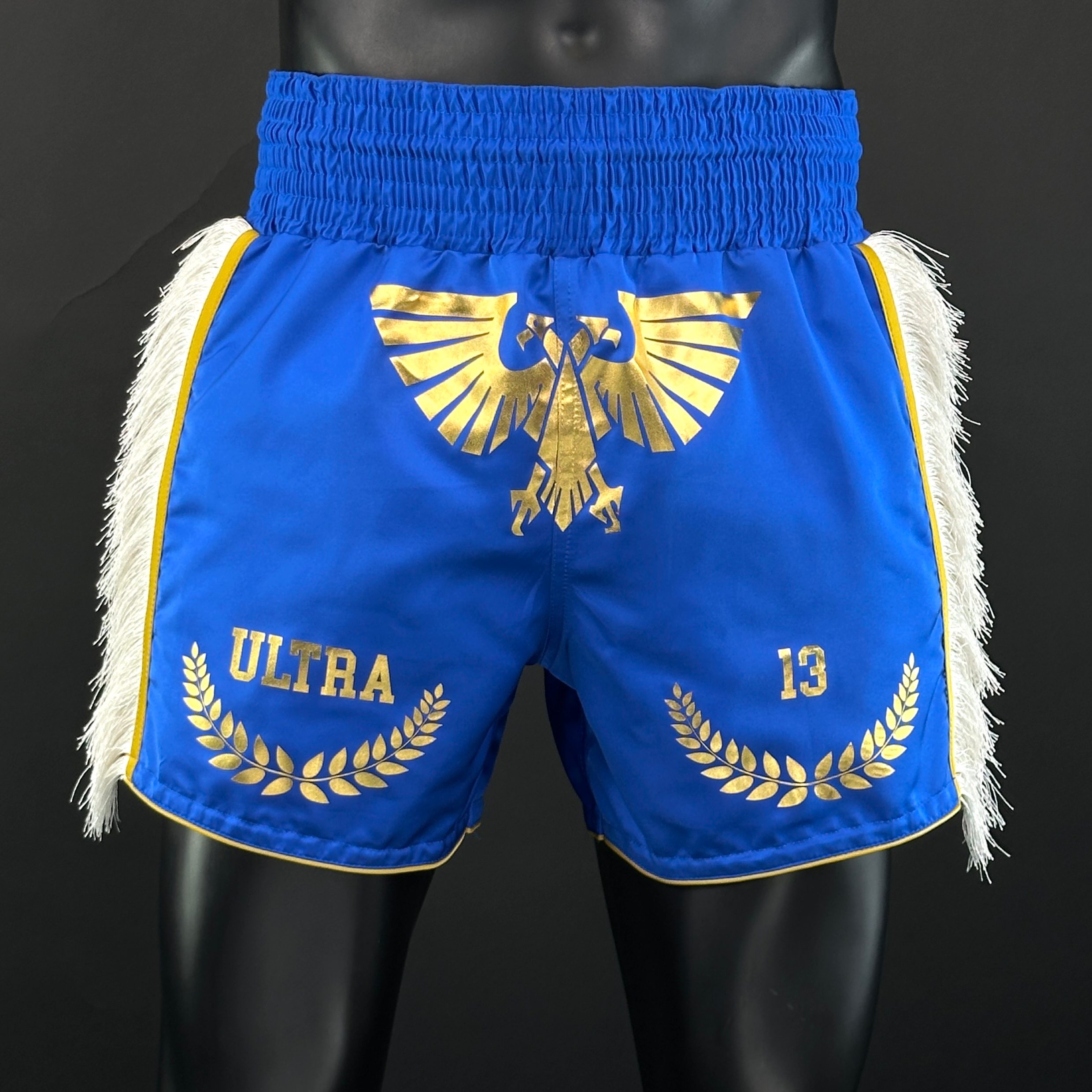Side Stripe MTS Sam 165676 Muay Thai Shorts