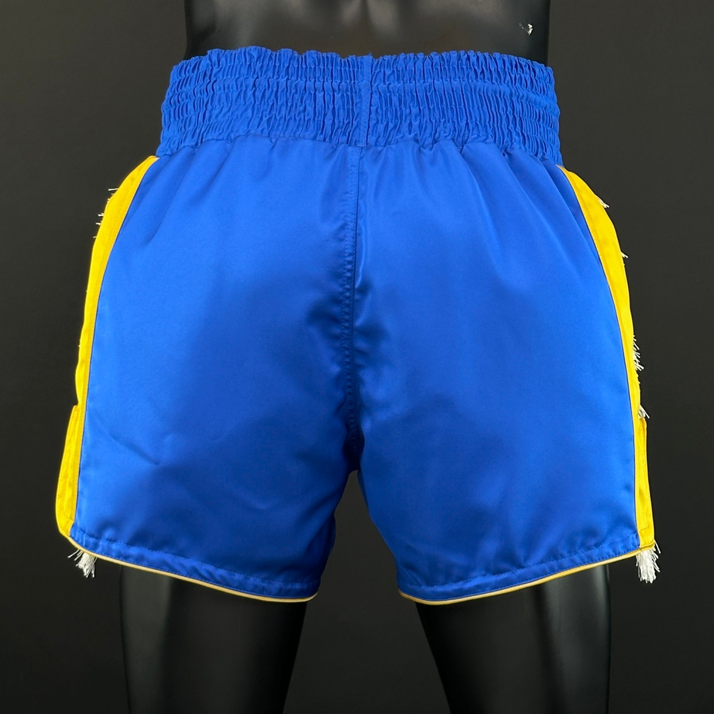 Side Stripe MTS Sam 165676 Muay Thai Shorts