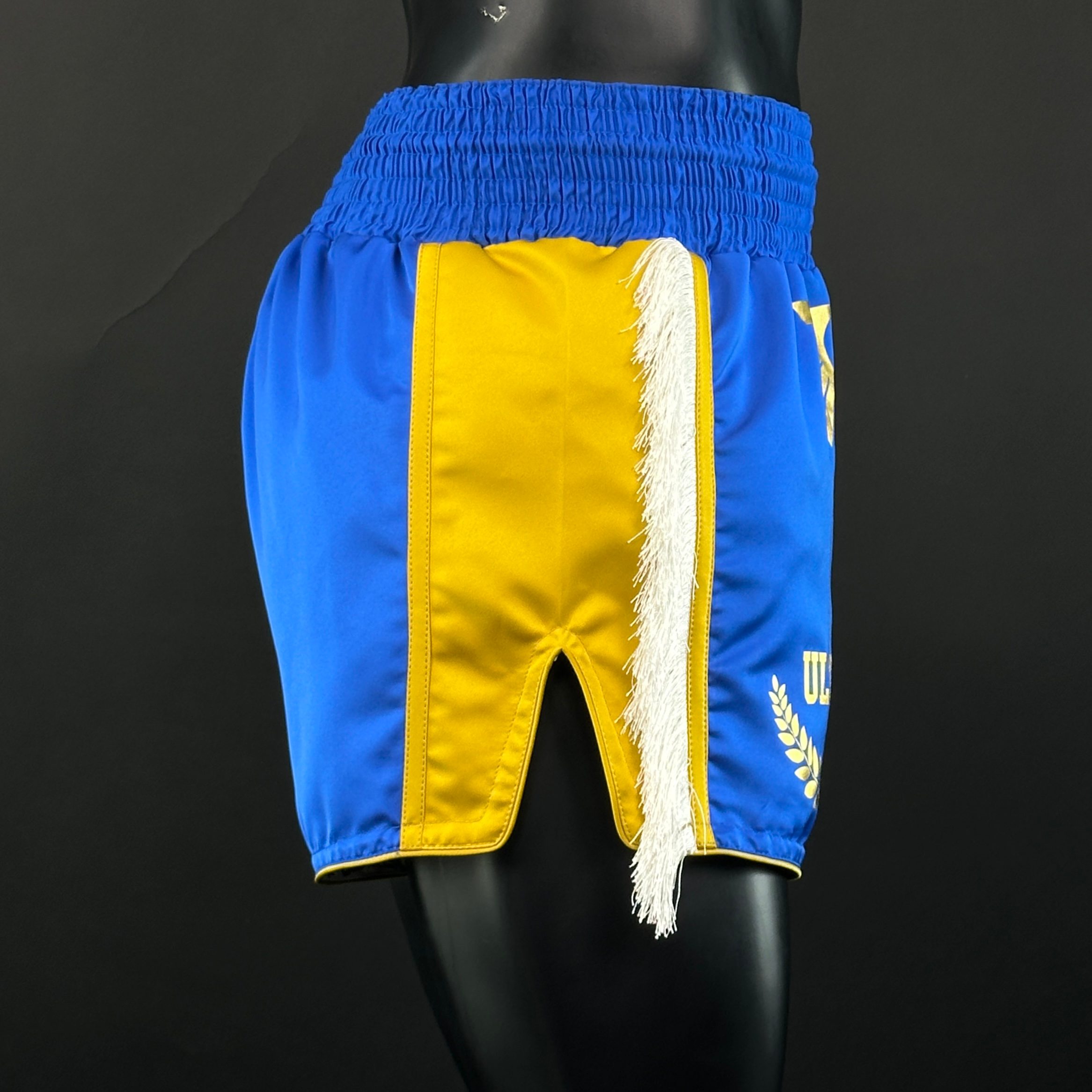 Side Stripe MTS Sam 165676 Muay Thai Shorts