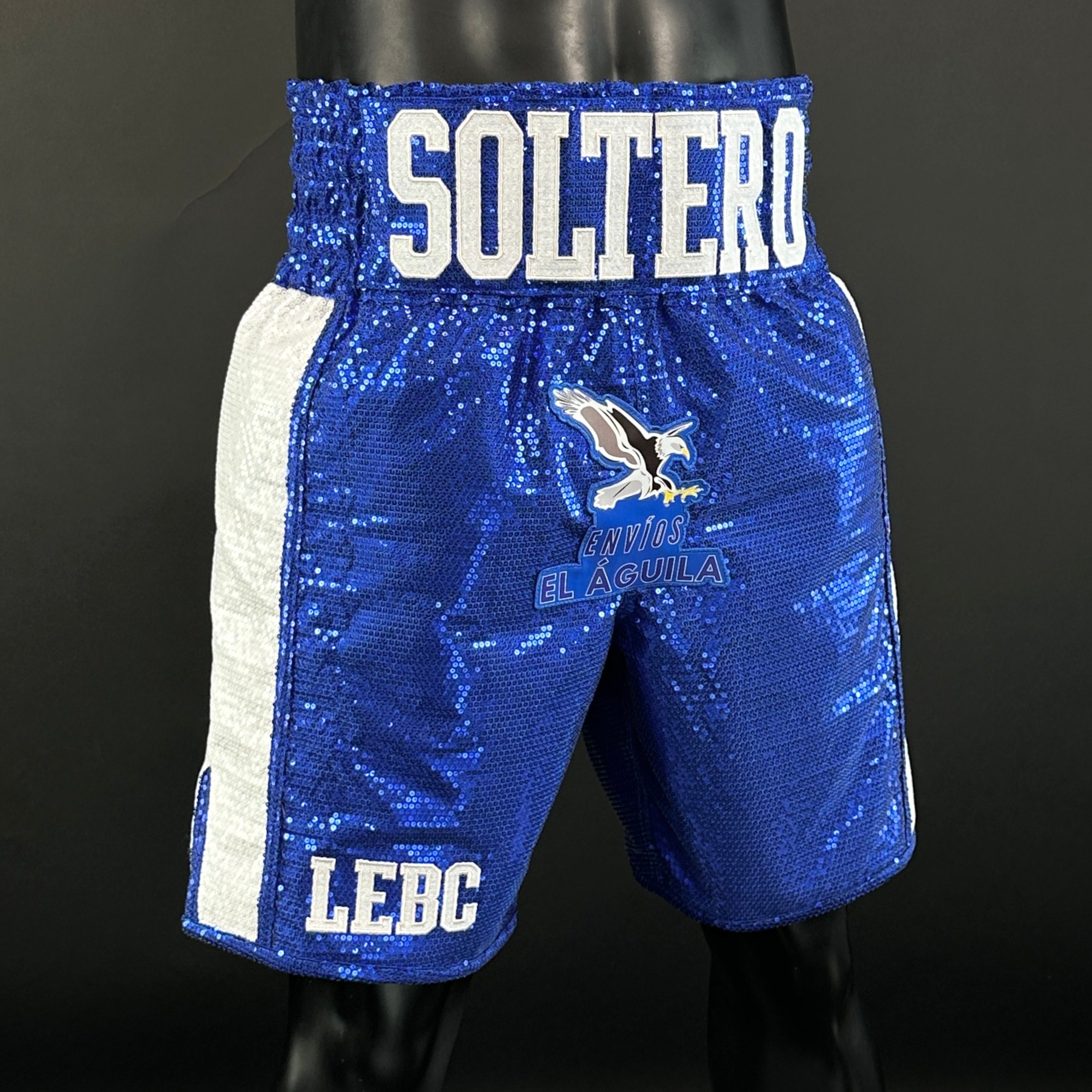 Side Stripe BX Old Kevin 167119 Custom Boxing Shorts & Trunks