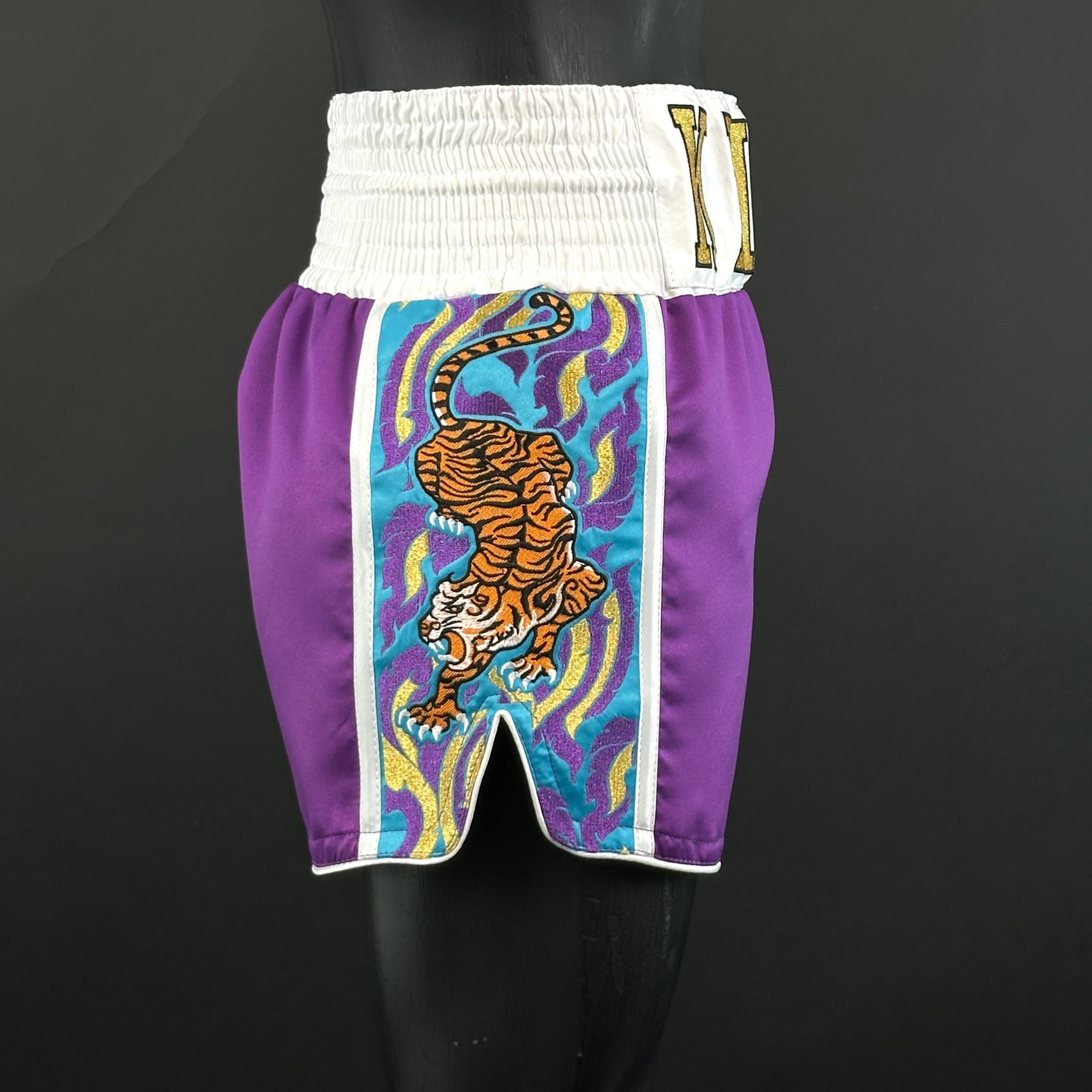 Royal Tiger MTS Justin 166929 Muay Thai Shorts