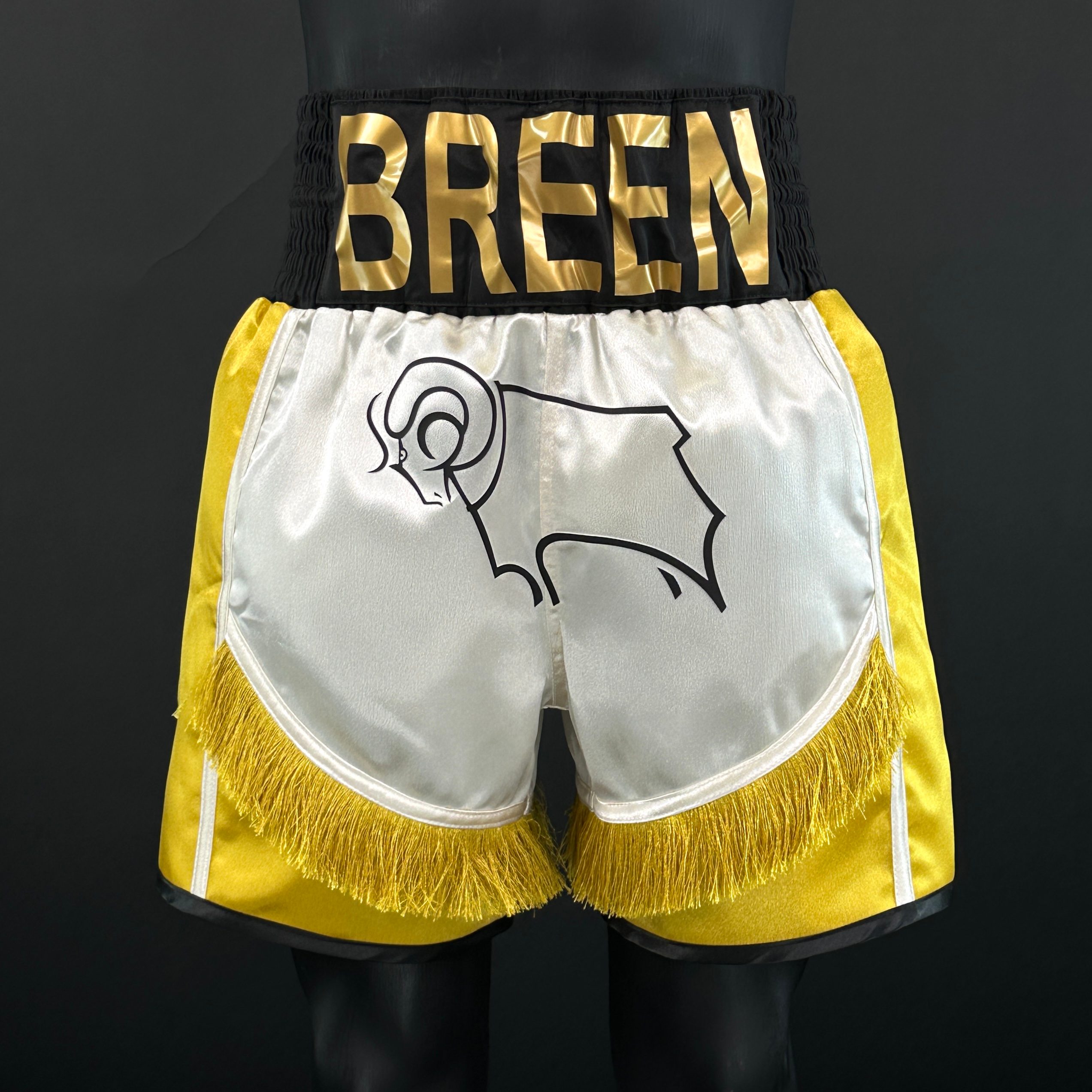 Cruiser BX William 166962 Custom Boxing Shorts & Trunks