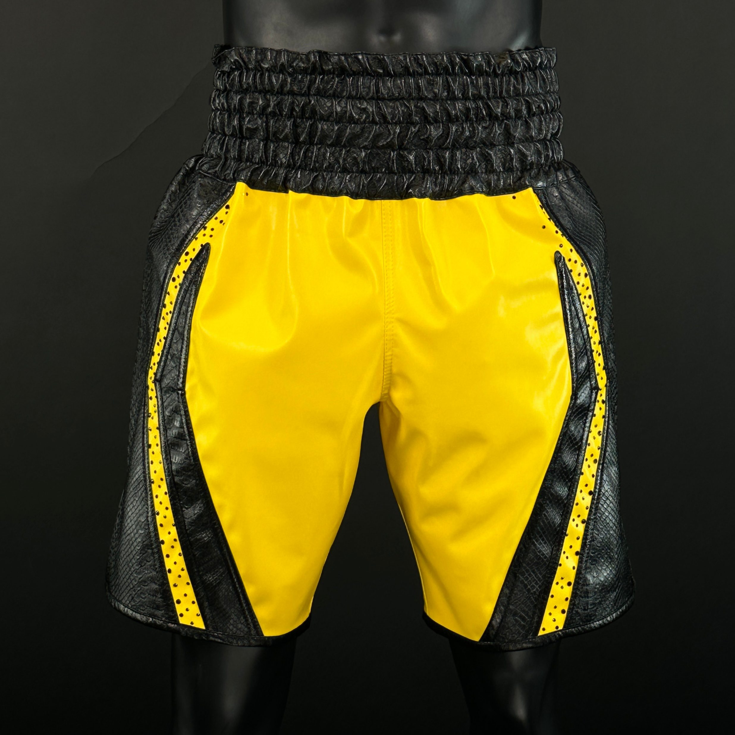 CHAMPION BX Ariel 167803 Custom Boxing Shorts & Trunks