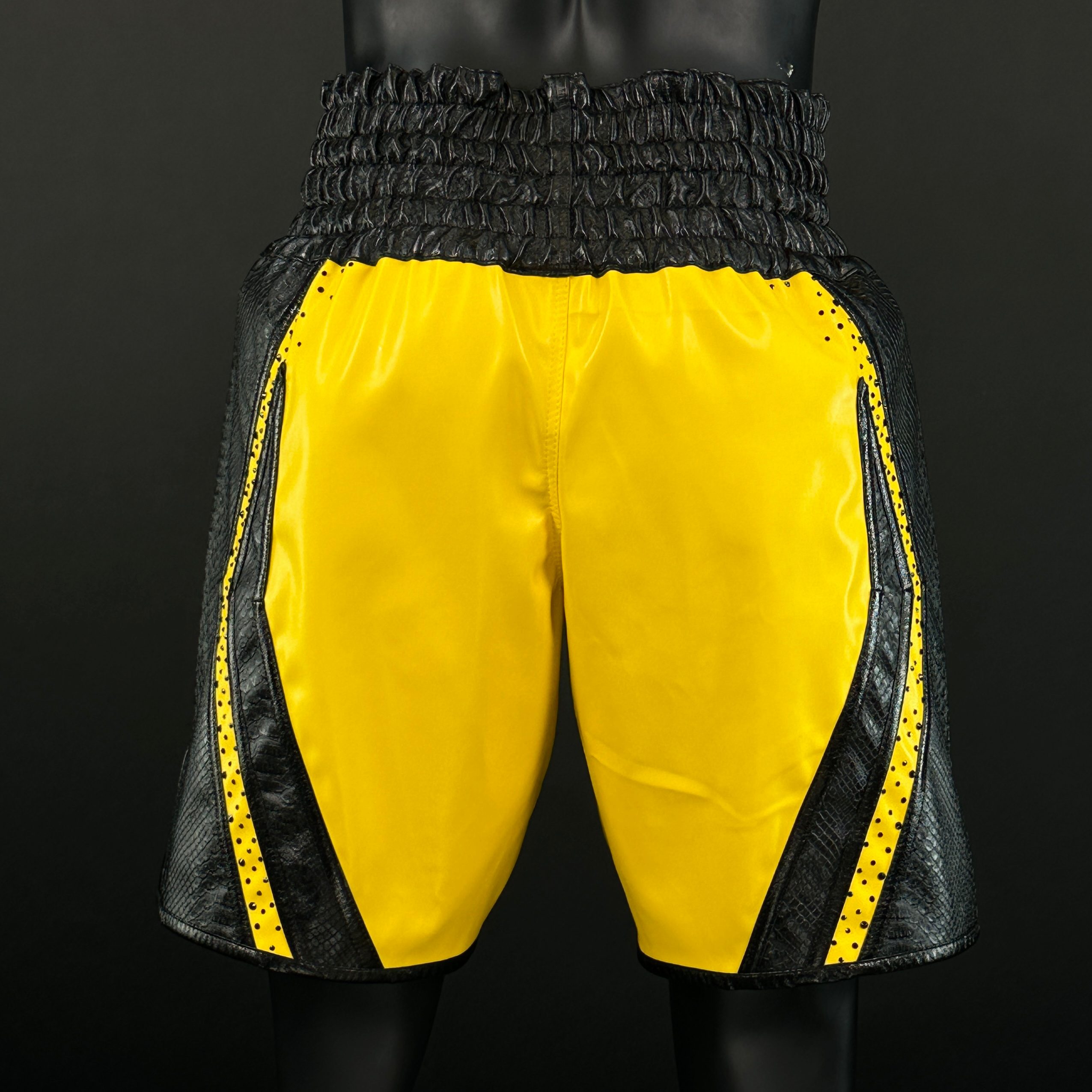 CHAMPION BX Ariel 167803 Custom Boxing Shorts & Trunks