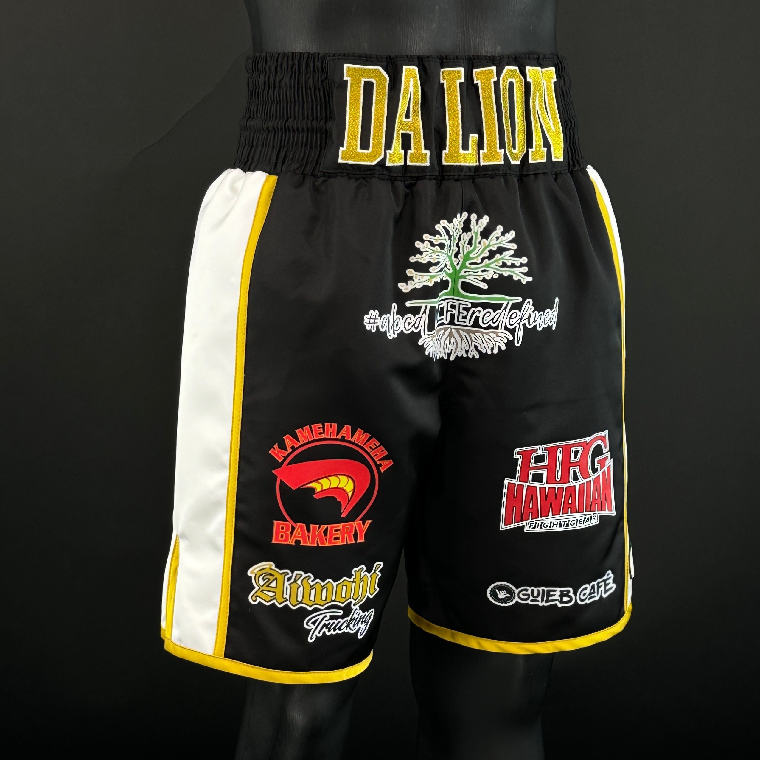 Side Stripe BX  Lyndon 167752 Custom Boxing Shorts & Trunks