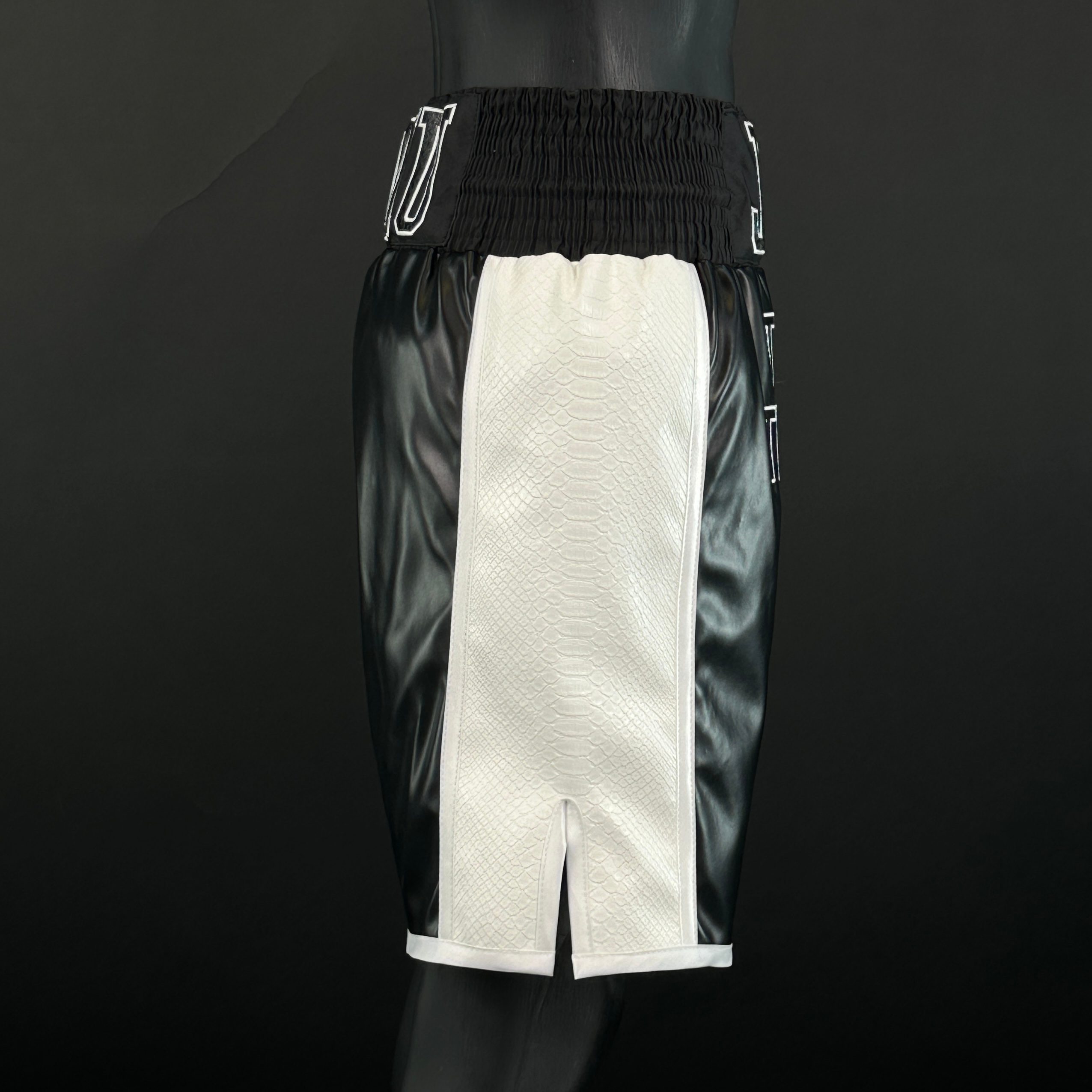 Side Stripe BX  Boram 166887 Custom Boxing Shorts & Trunks