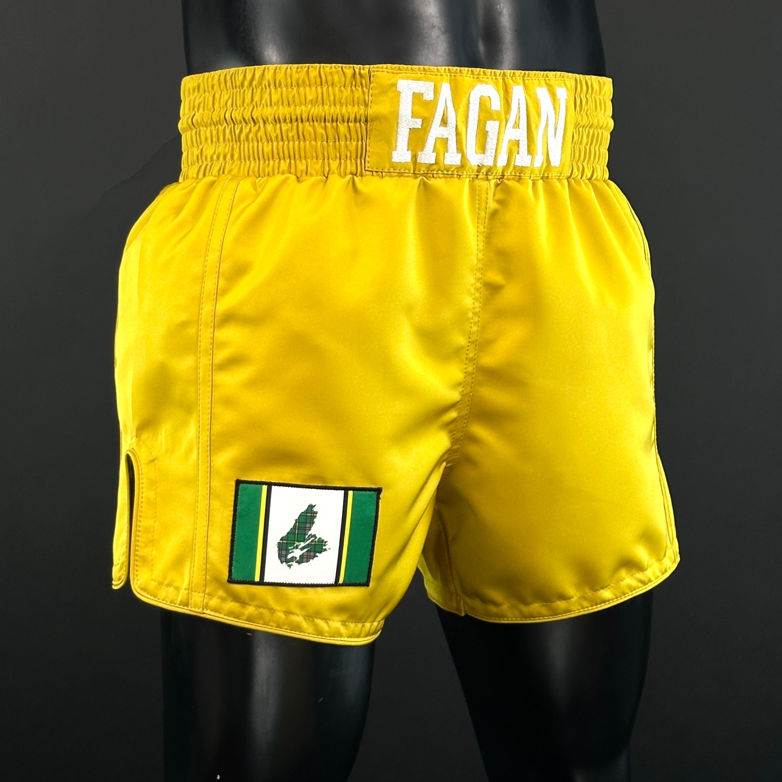 Side Stripe MTS Natalie 166758 Muay Thai Shorts