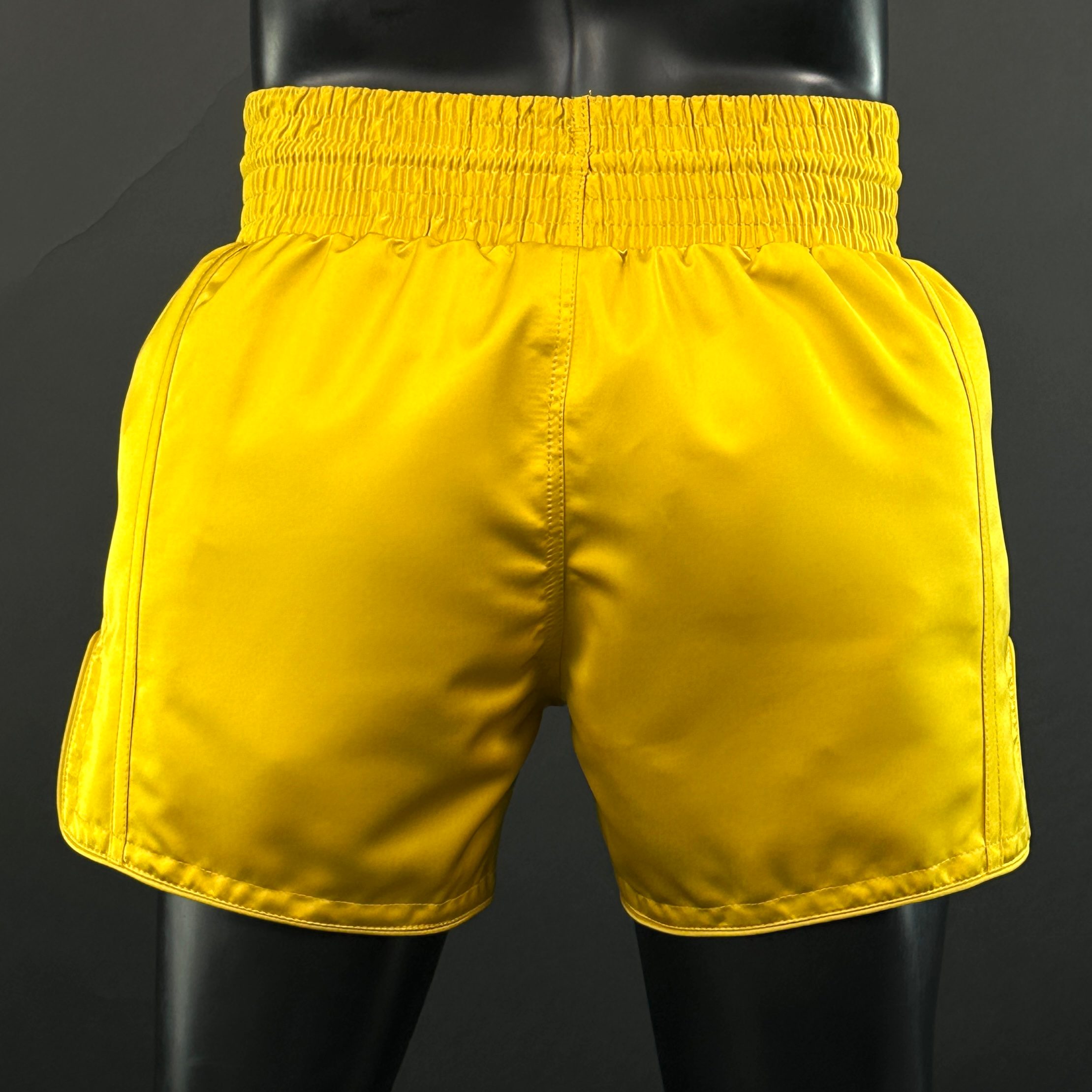 Side Stripe MTS Natalie 166758 Muay Thai Shorts