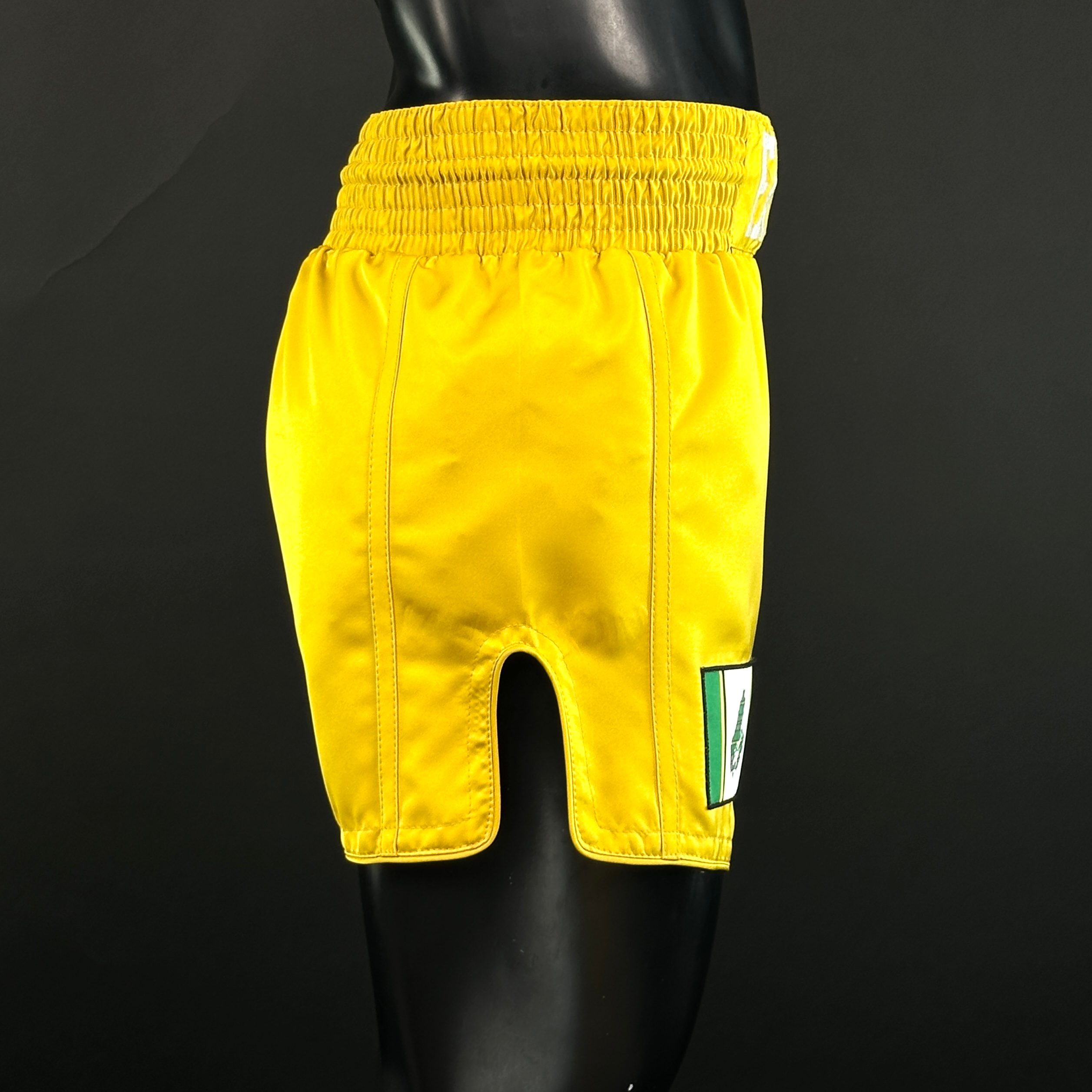 Side Stripe MTS Natalie 166758 Muay Thai Shorts