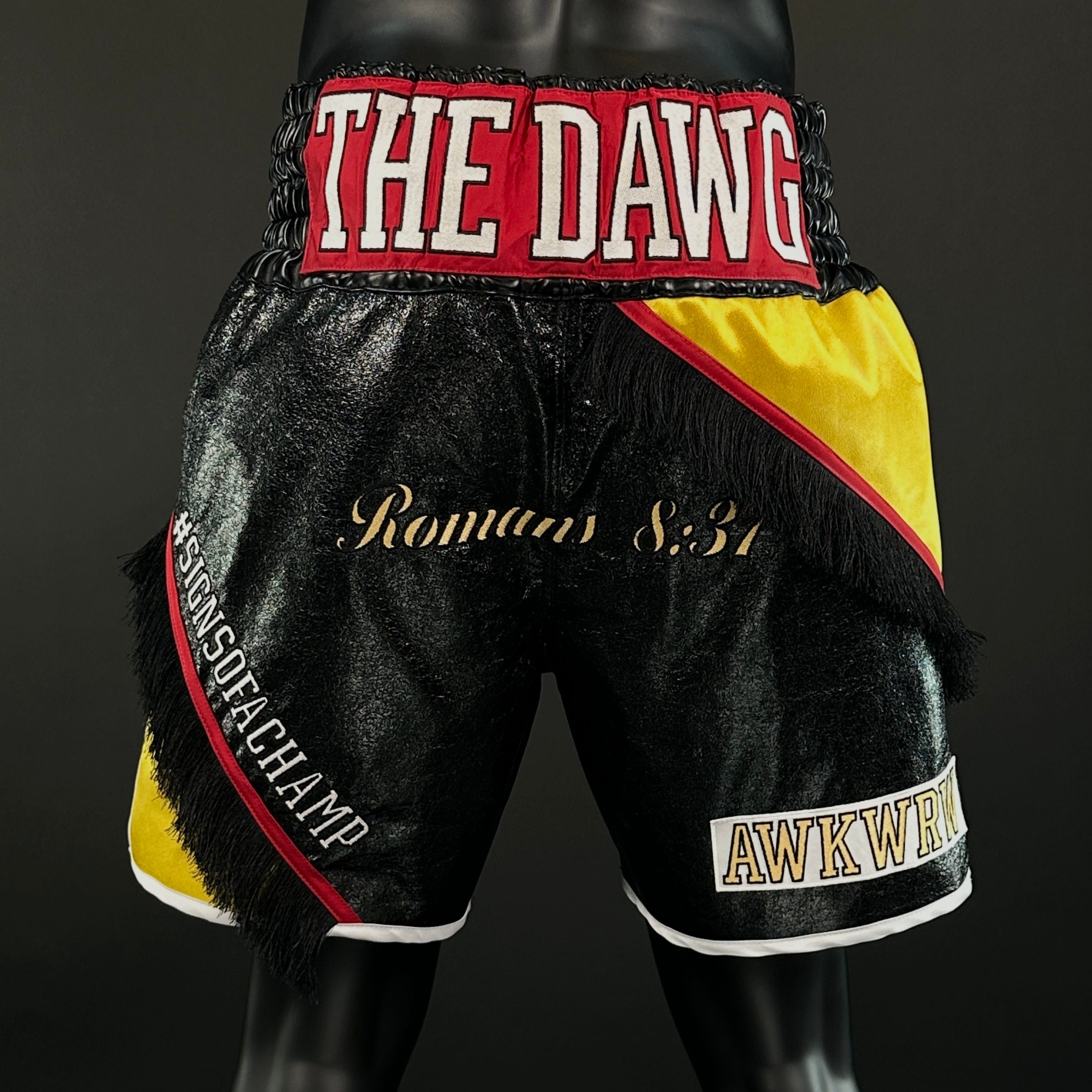 ZX BX Tyrek 168517 Custom Boxing Shorts & Trunks