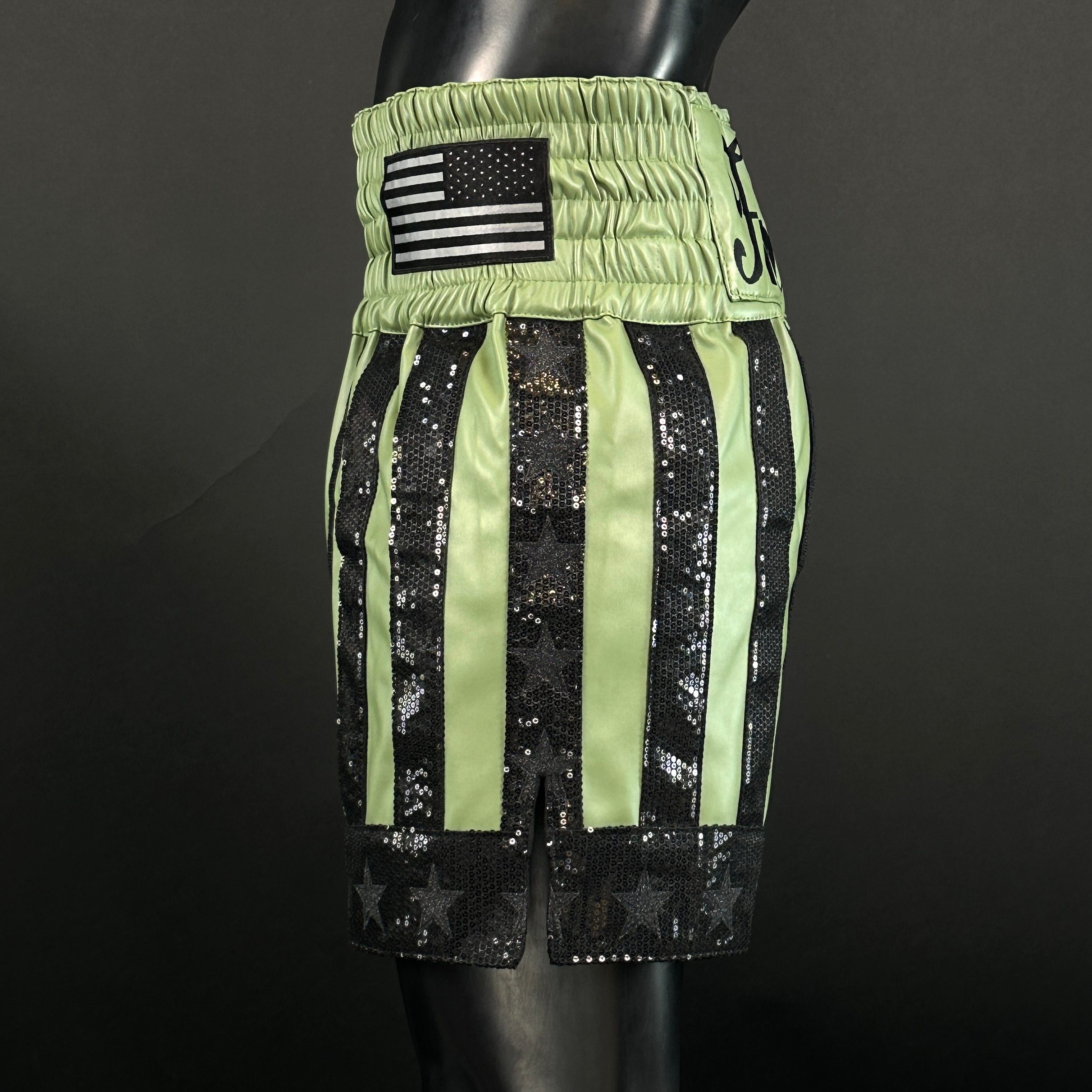 CREED BX (Boxxerworld Elite) Sean 168913 Custom Boxing Shorts & Trunks