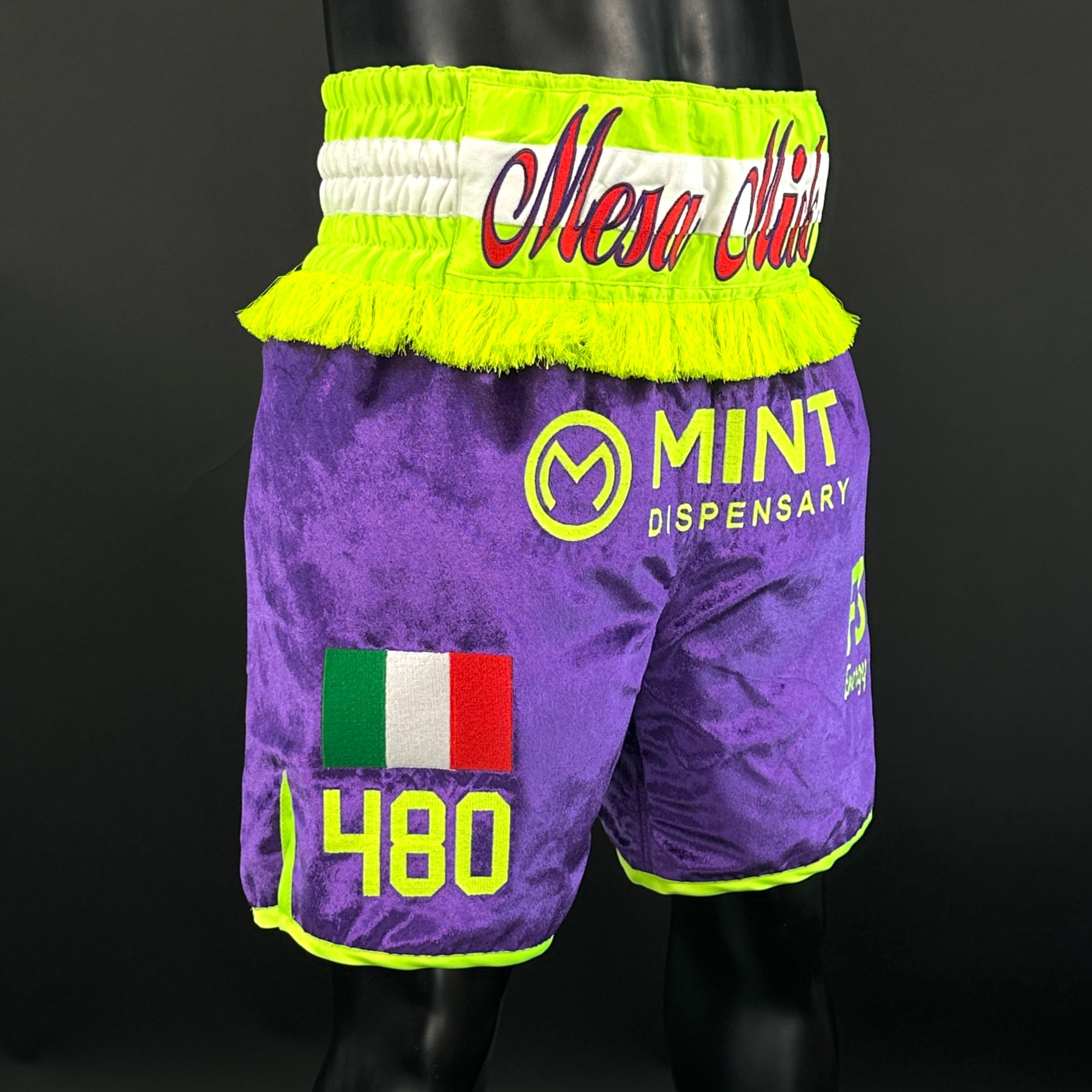 Valentino BX Micky 168012 Custom Boxing Shorts & Trunks
