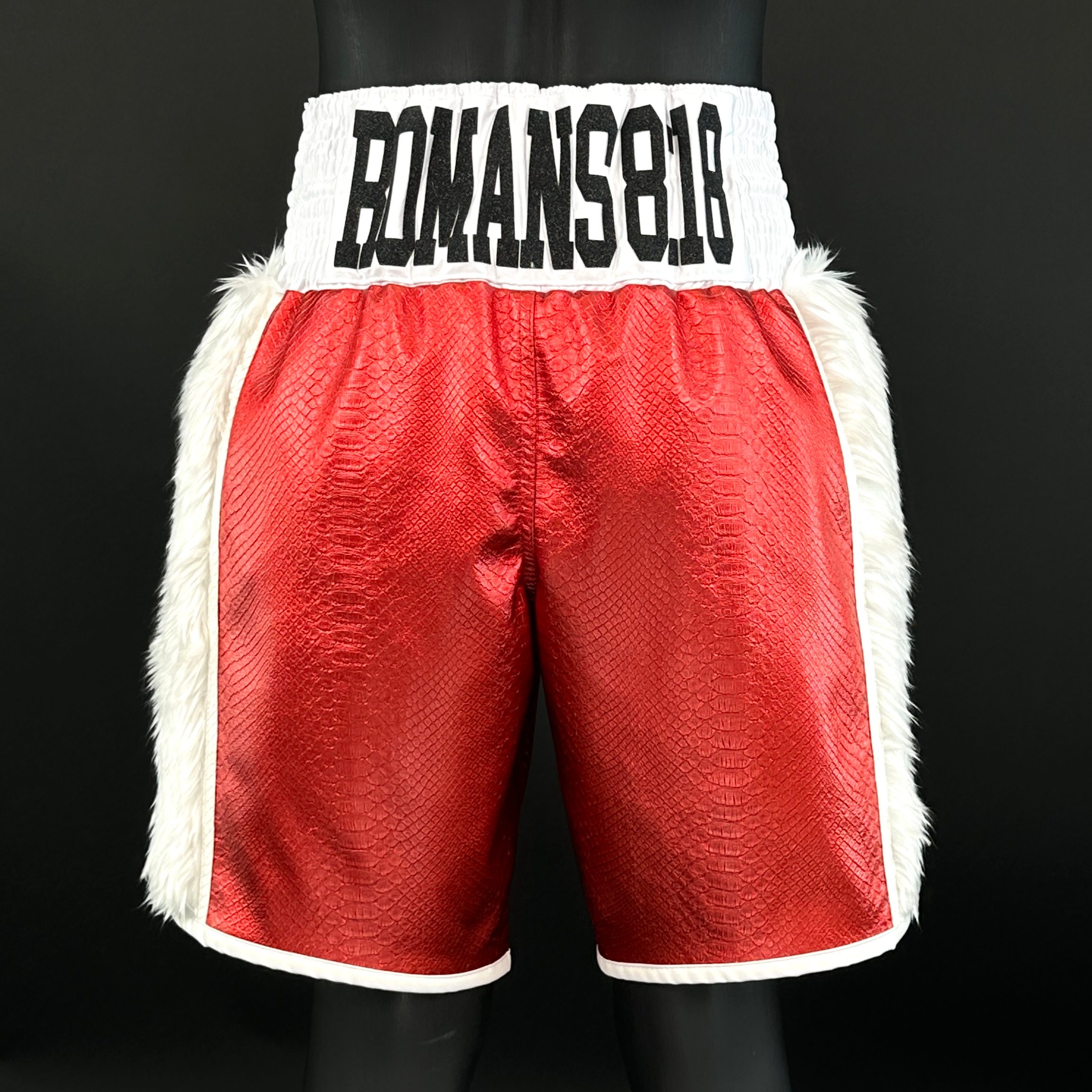 Side Stripe BX  Jessie 169505 Custom Boxing Shorts & Trunks
