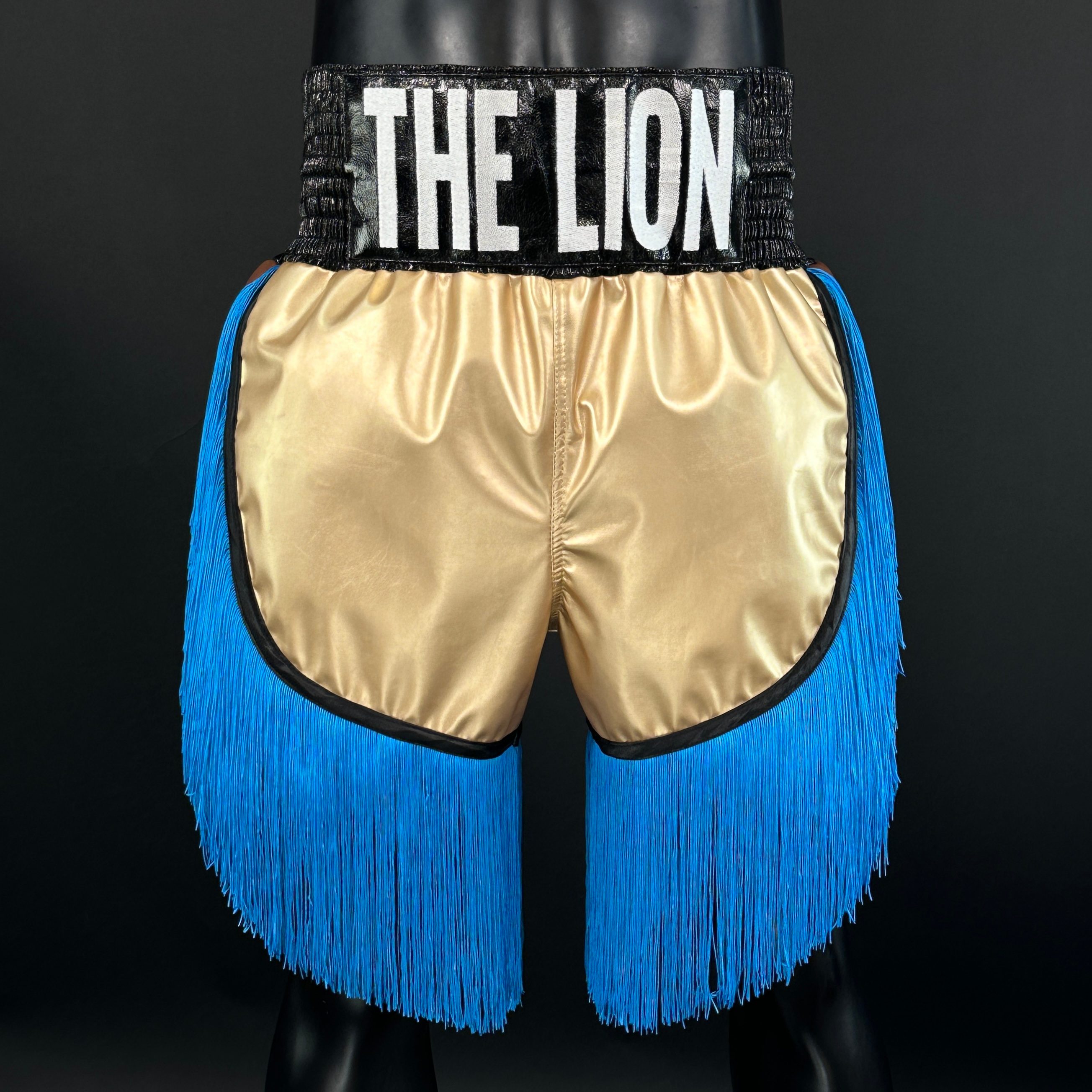 Lorenzo BX Victor 168504 Custom Boxing Shorts & Trunks