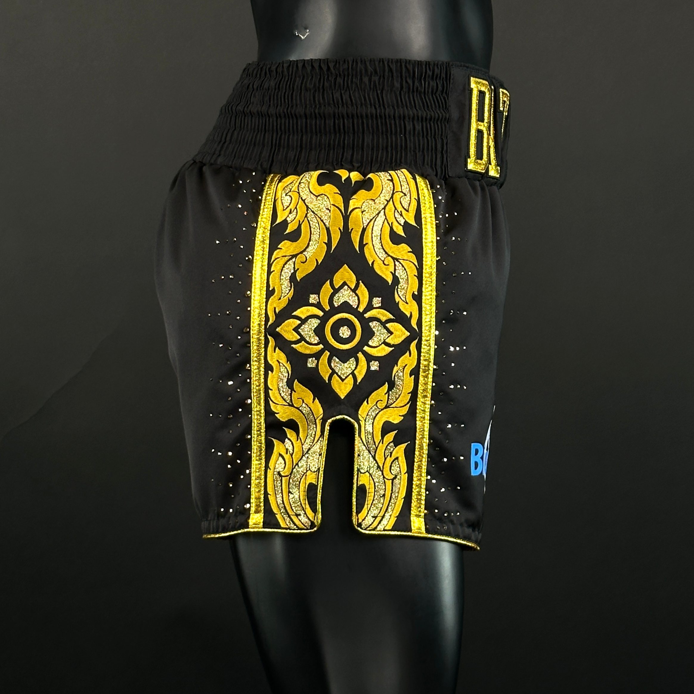 One Champ MTS Alexander 168669 Muay Thai Shorts