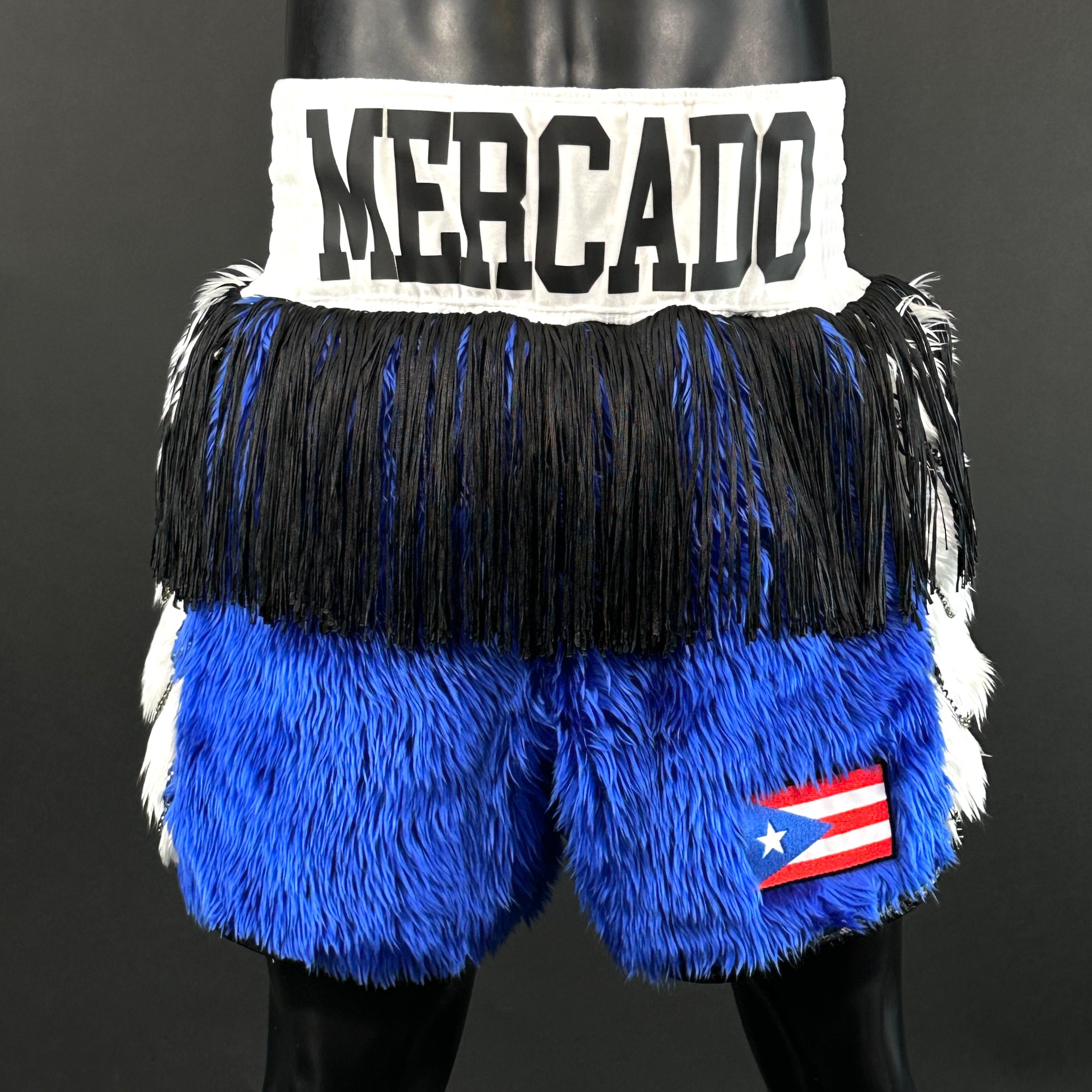 SOLDIER BX (BOXXER ELITE) ethen 170490 Custom Boxing Shorts & Trunks