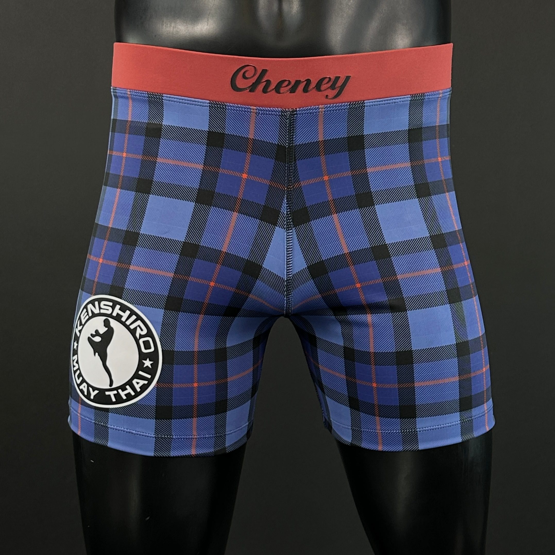 Classic Vale Tudo MMA Beau 168691 MMA Shorts