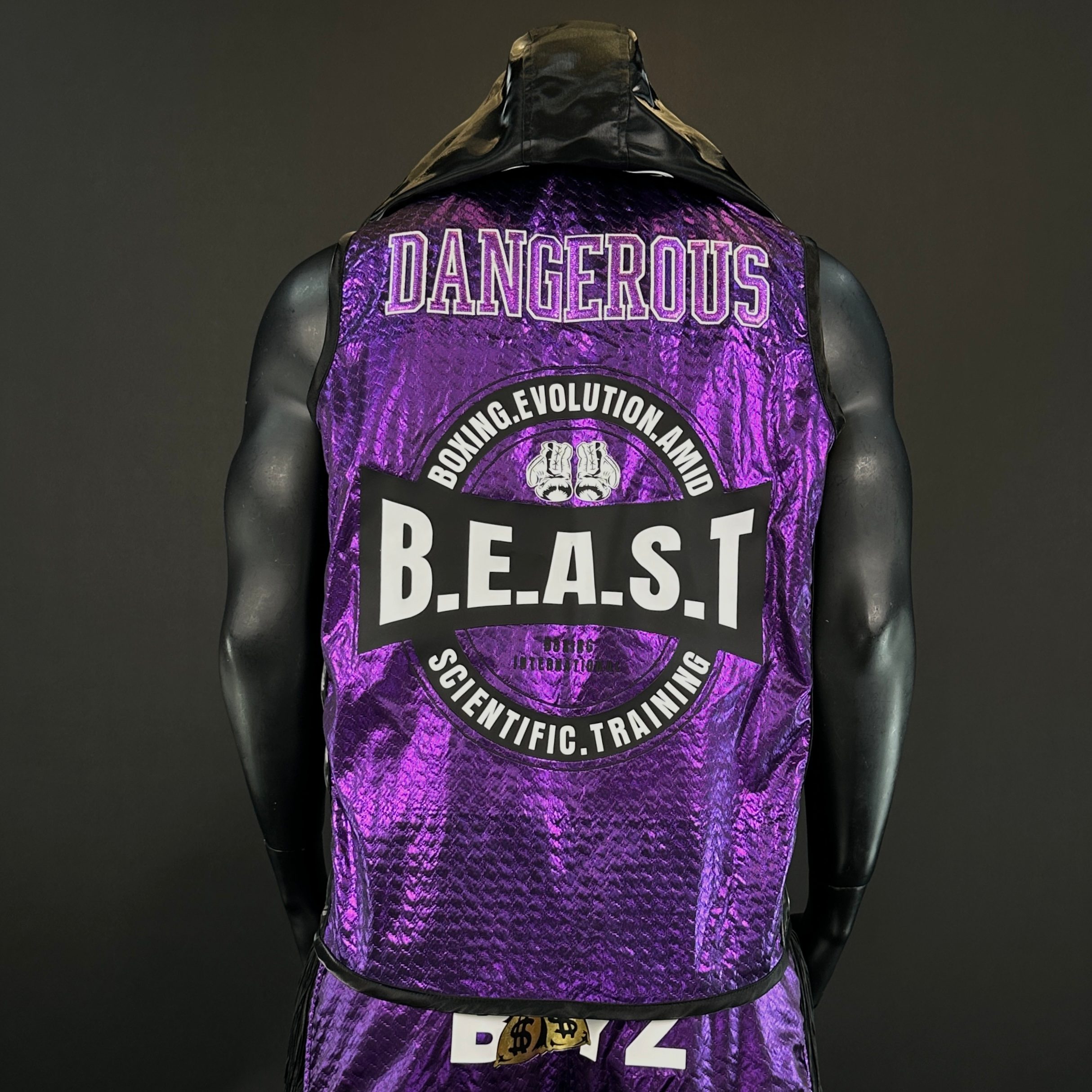 Side Stripes  Jacket  Damarion 170054 Jackets