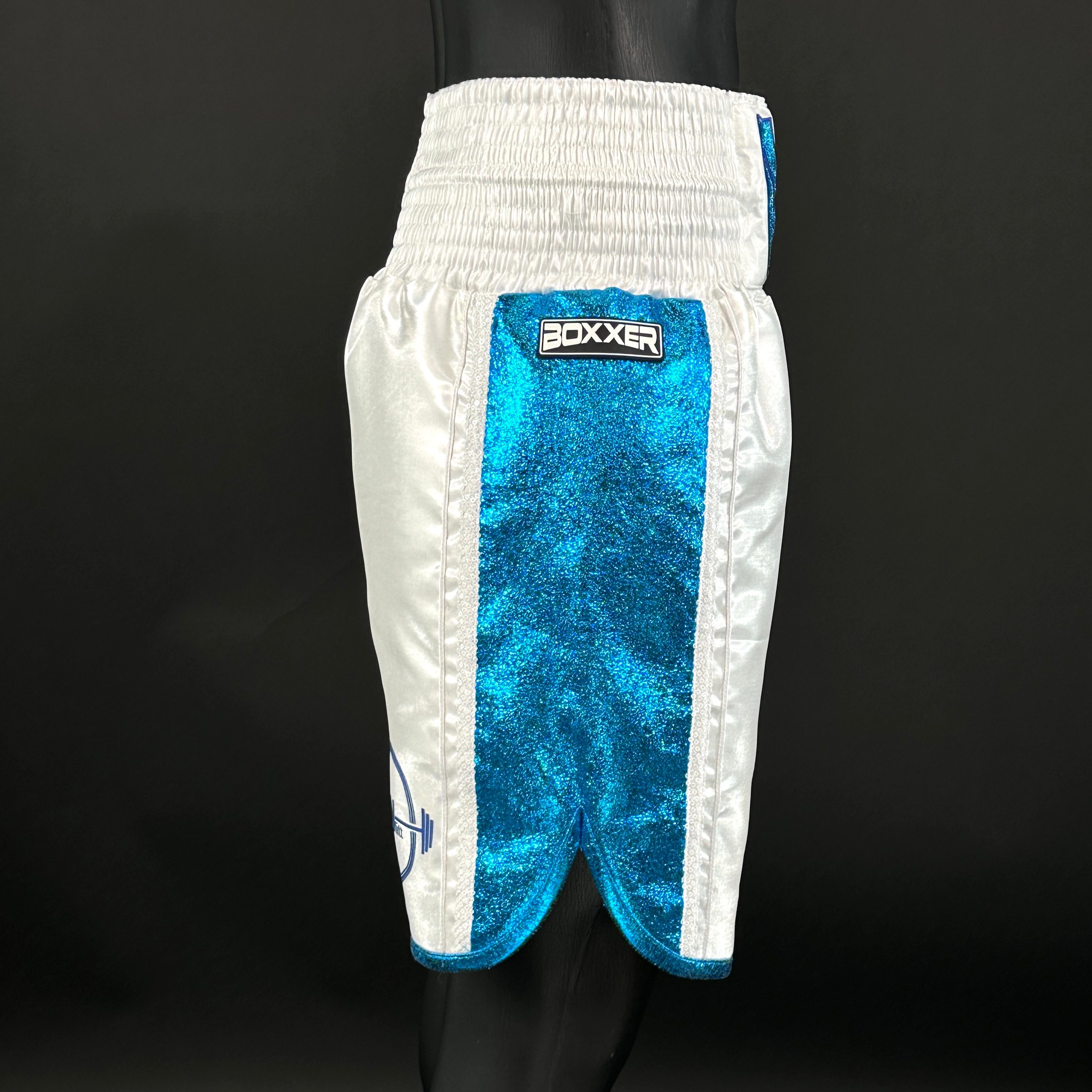 Side Stripe Luxury II Daniel 170238 Custom Boxing Shorts & Trunks